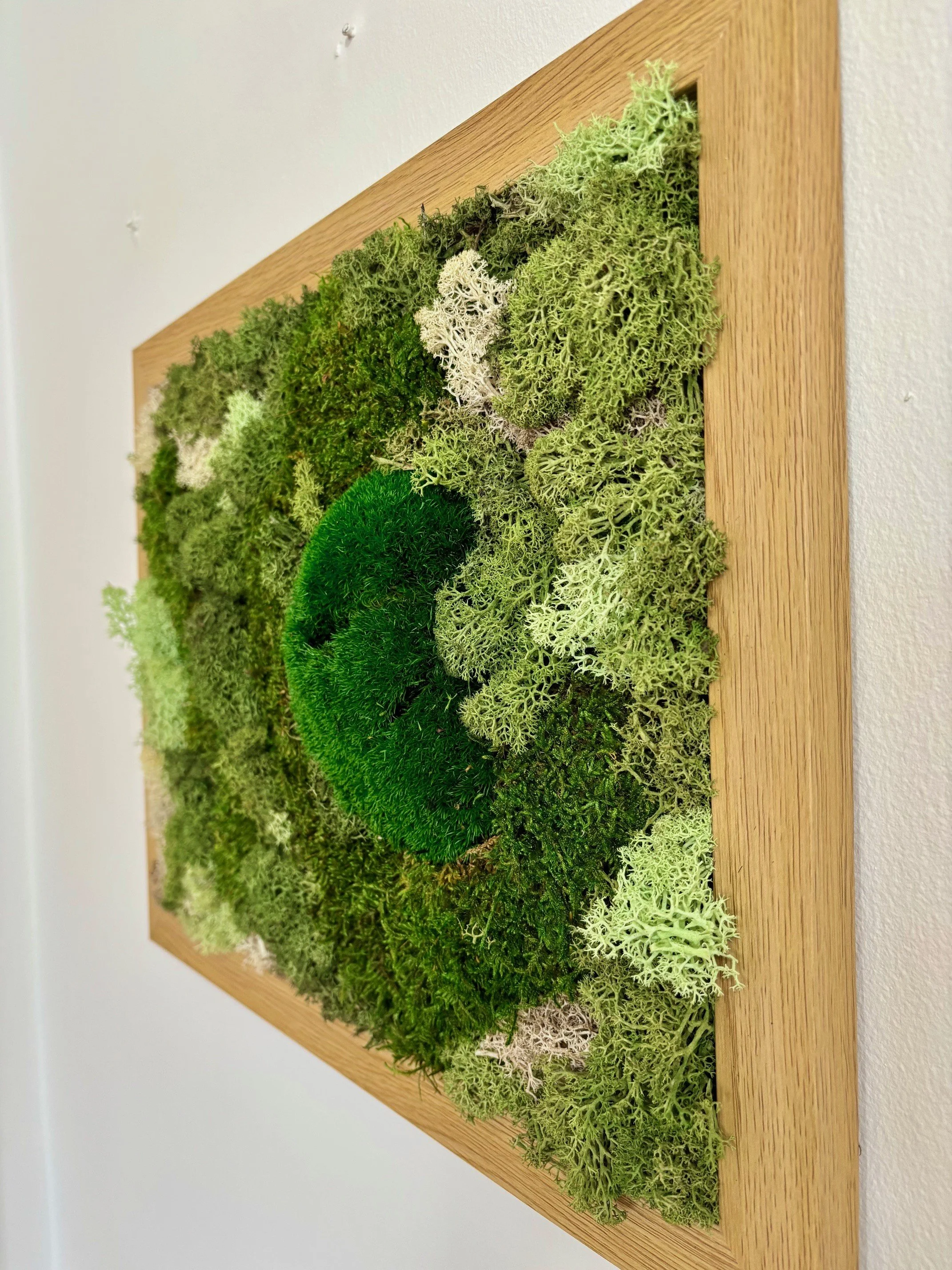 moss harmony right.jpg