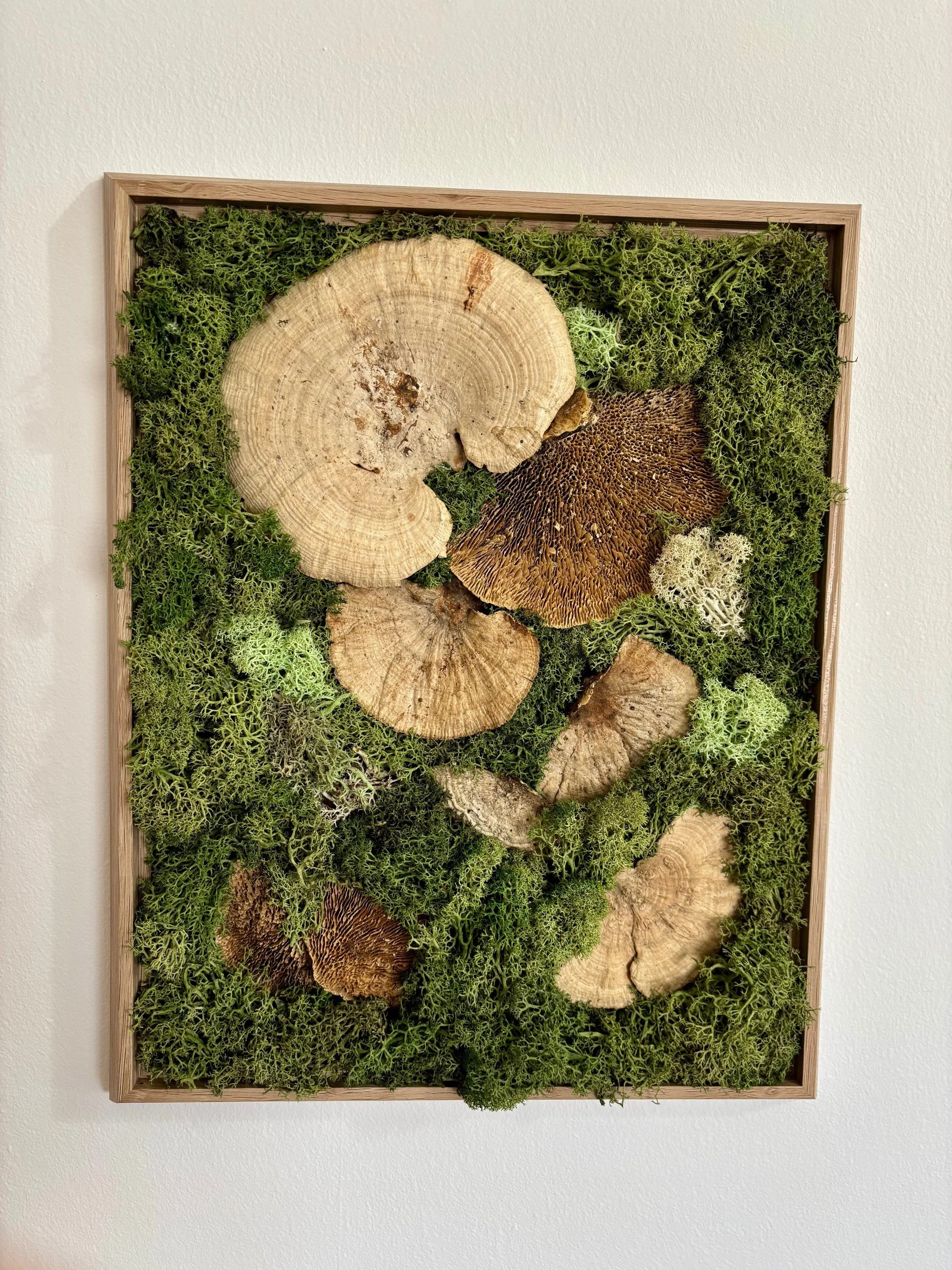 "Mushroom Medley" Moss Wall Art