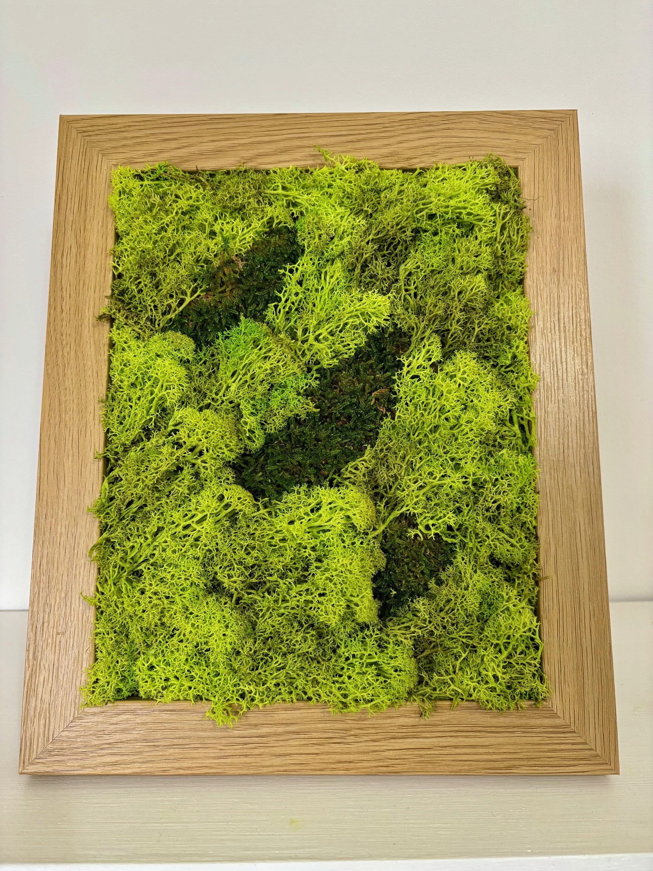 "Emerald Glow" Moss Wall Art