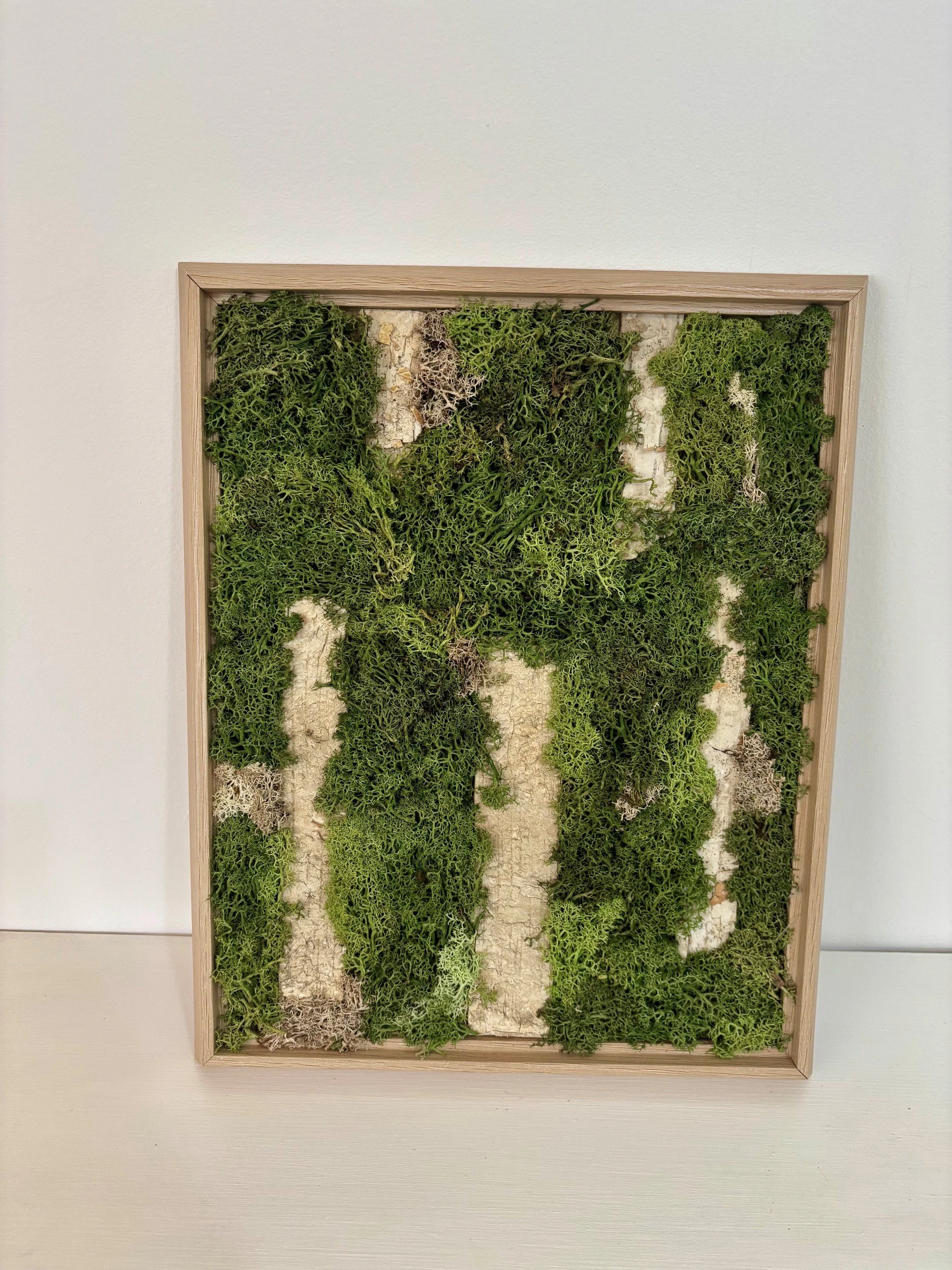 "Woodland Whispers" Preserved Moss Art