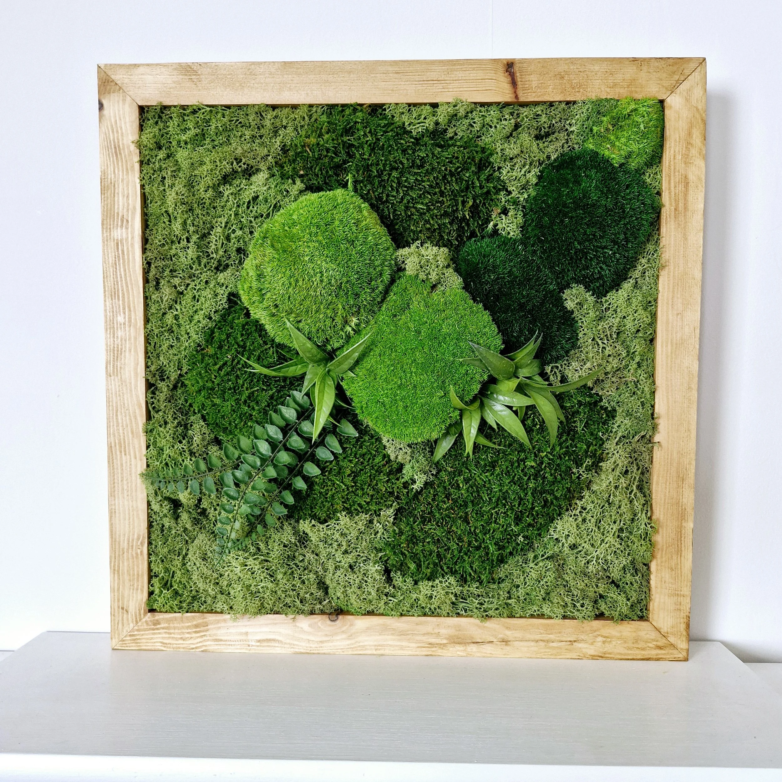 TUVSUD 1 of 3 front.jpg