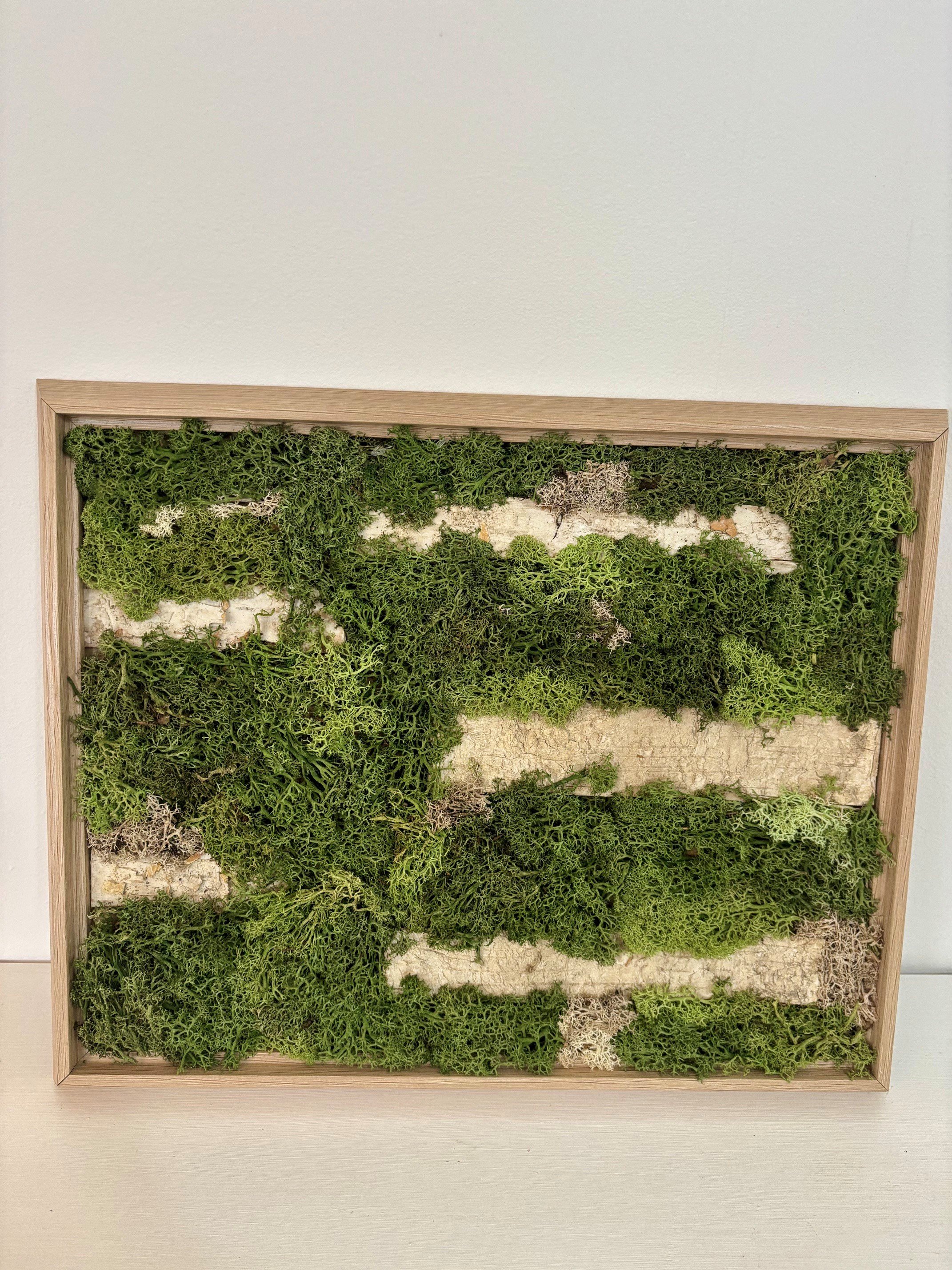 wood.jpg