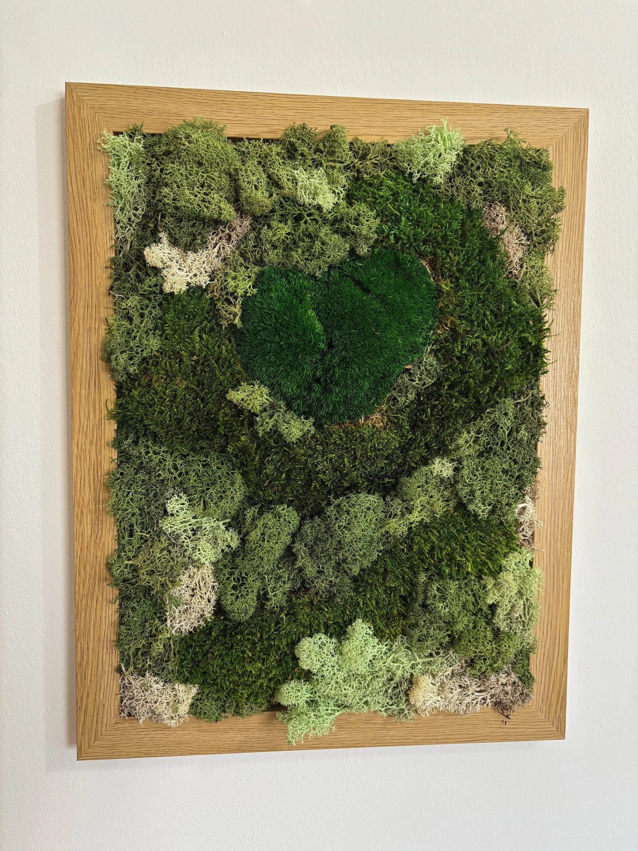 "Moss Harmony" Preserved Moss Art