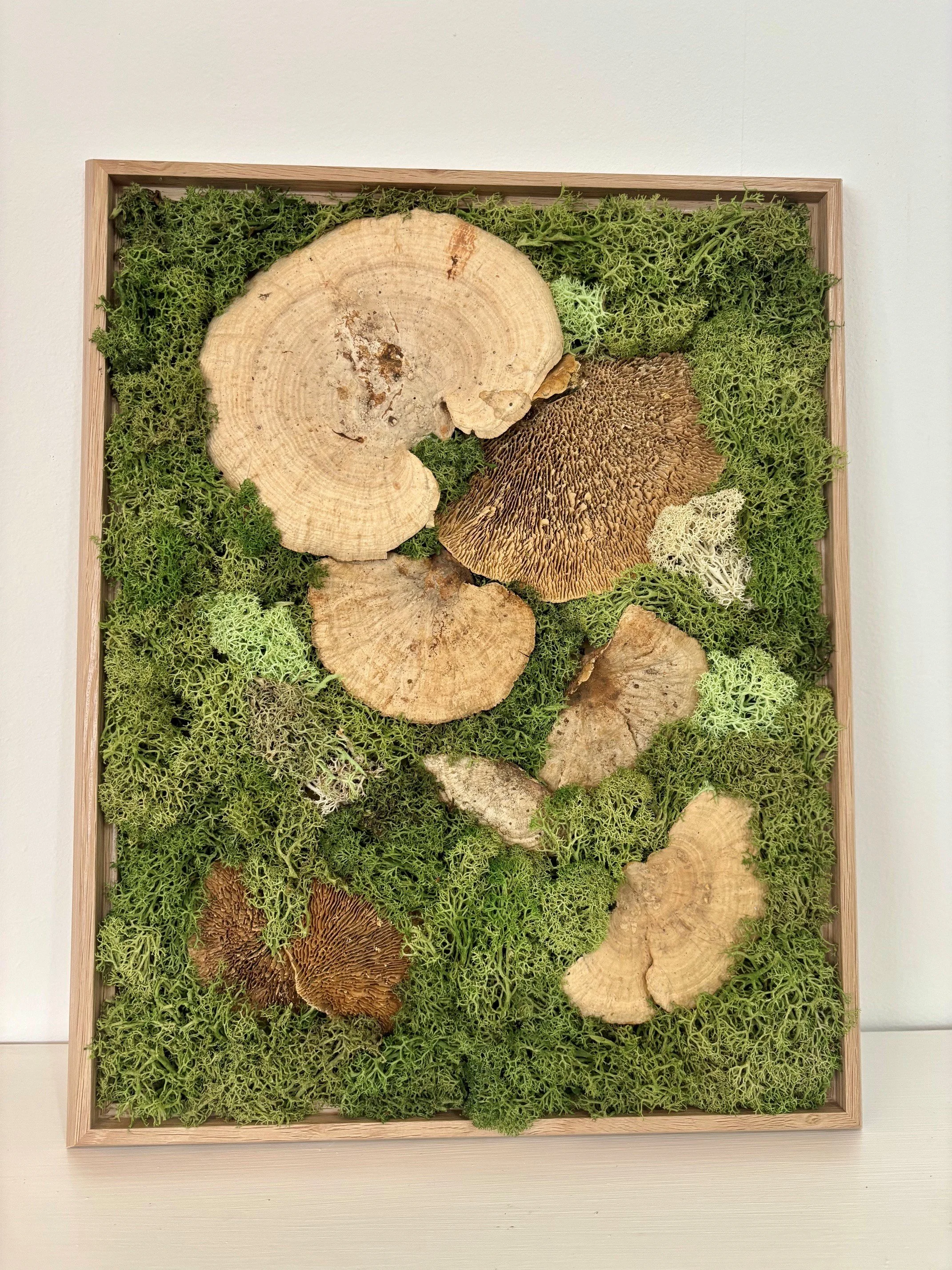"Mushroom Medley" Moss Wall Art