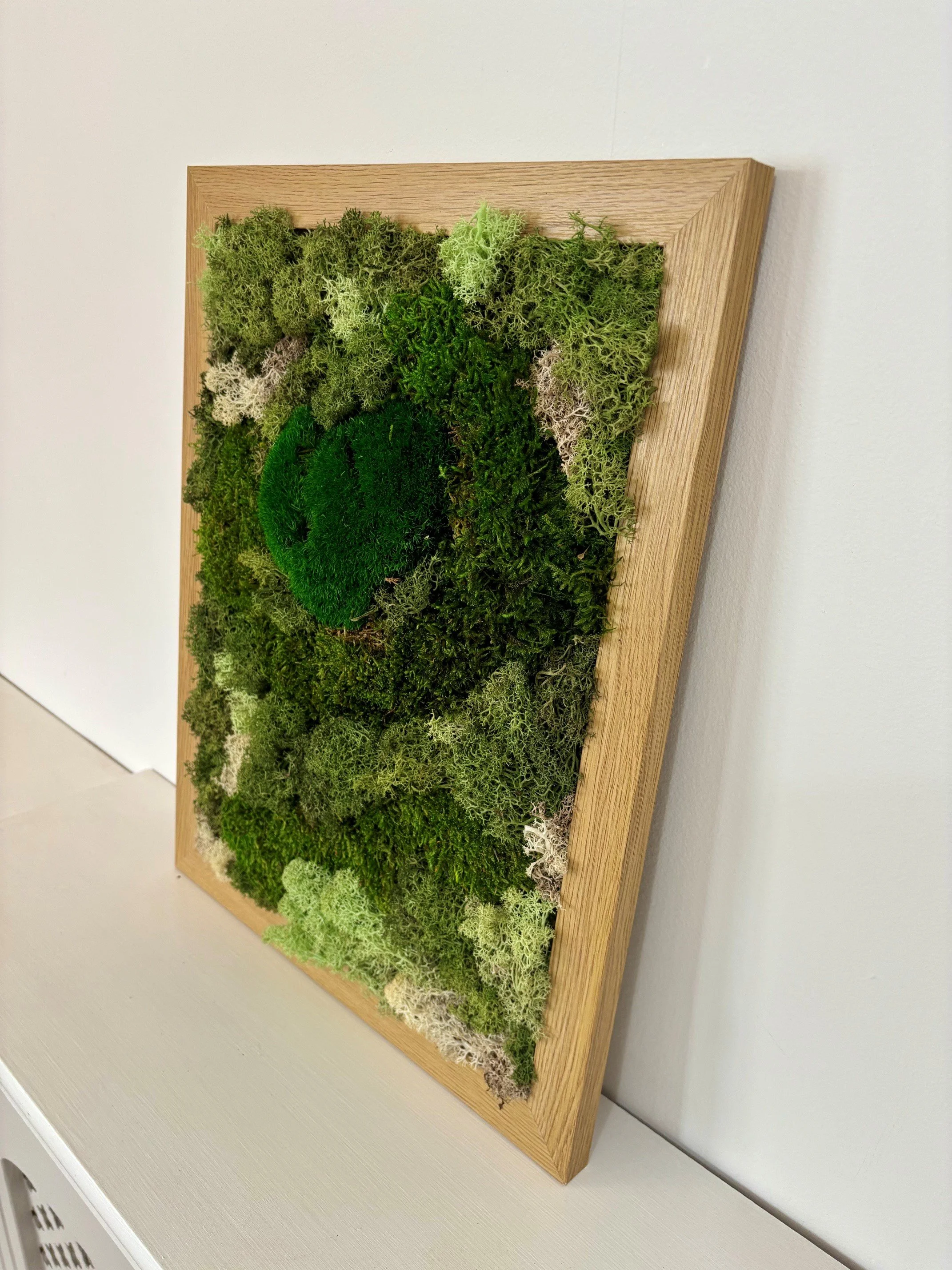 moss4.jpg