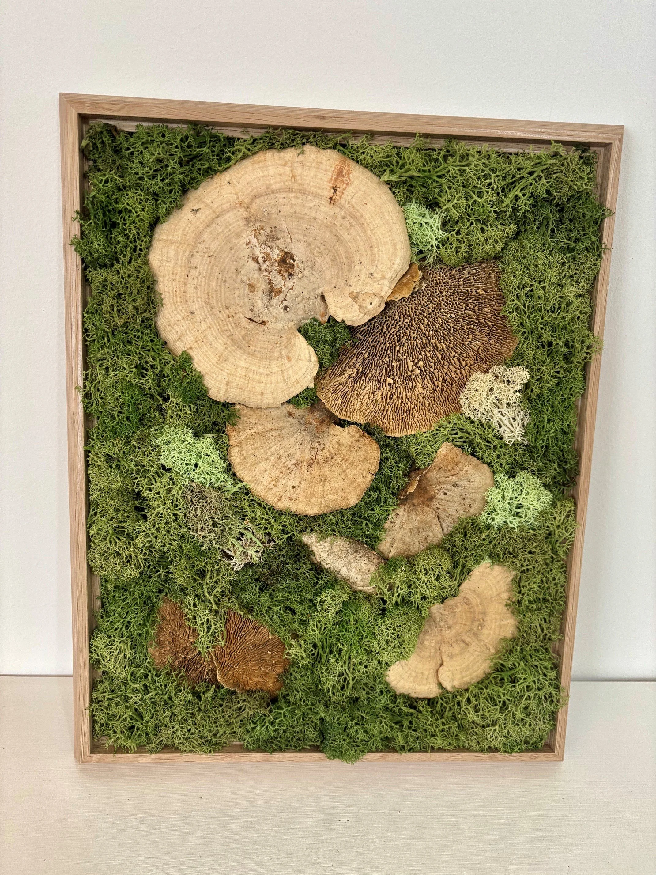 mushroom.jpg