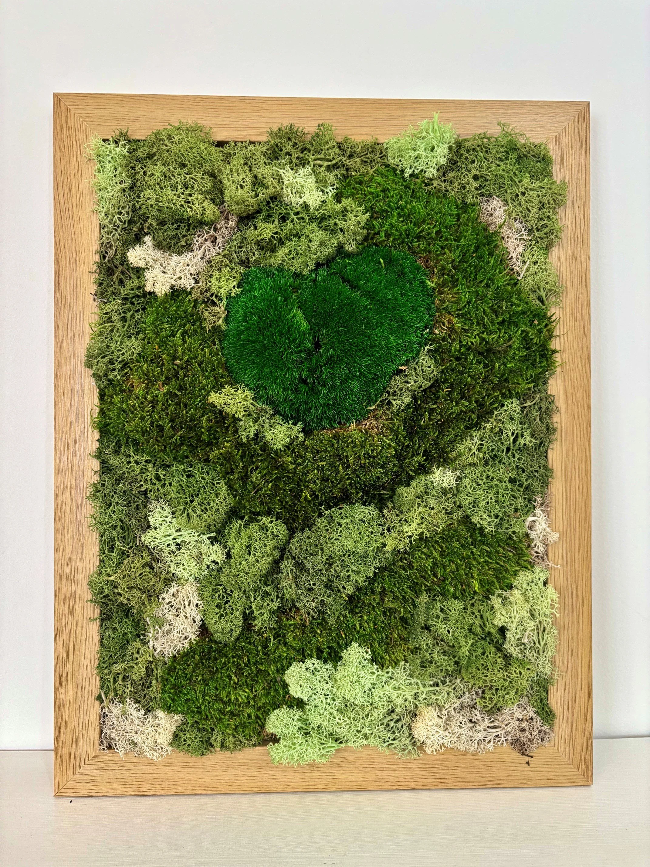"Moss Harmony" Preserved Moss Art