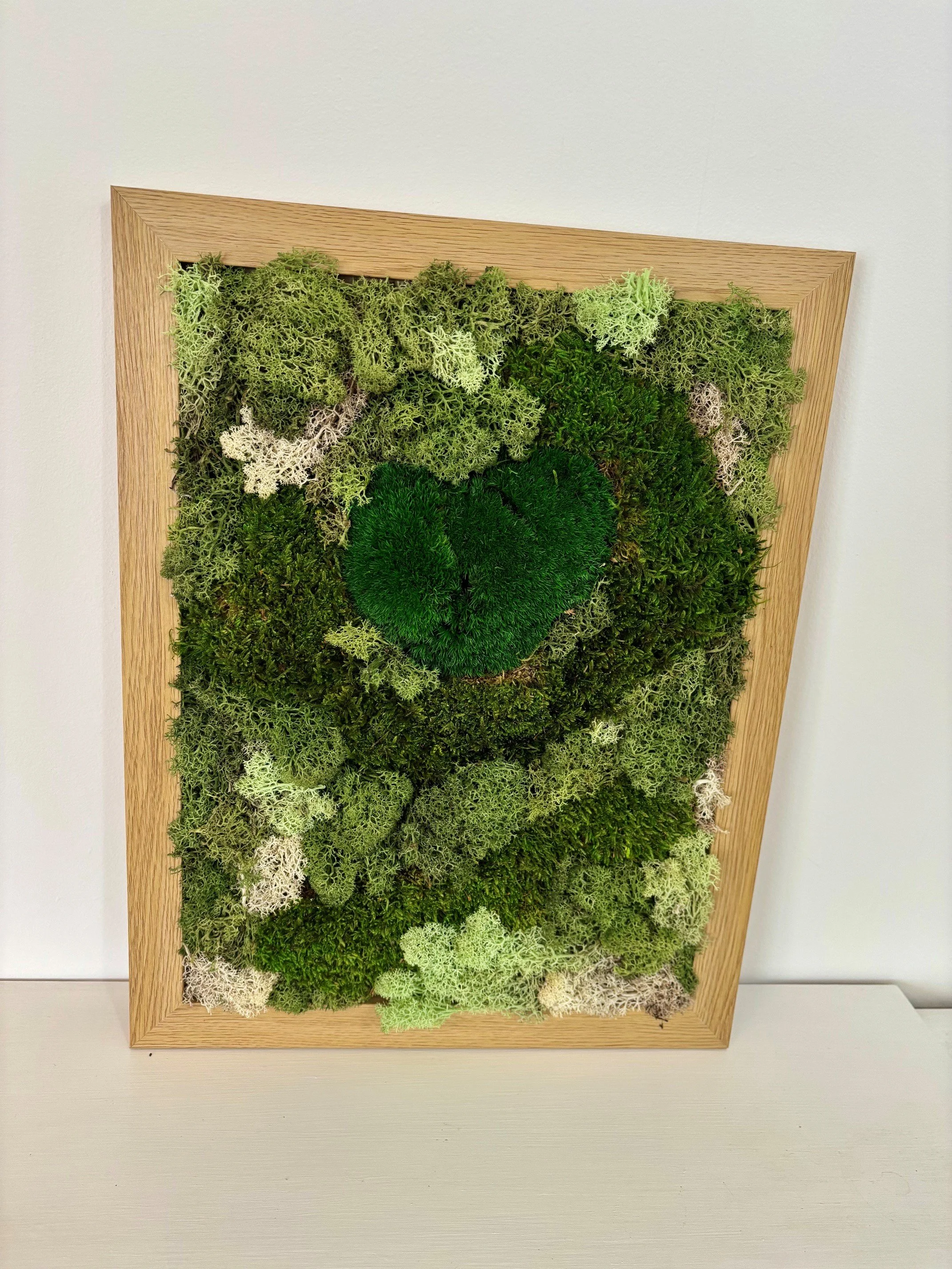 moss3.jpg