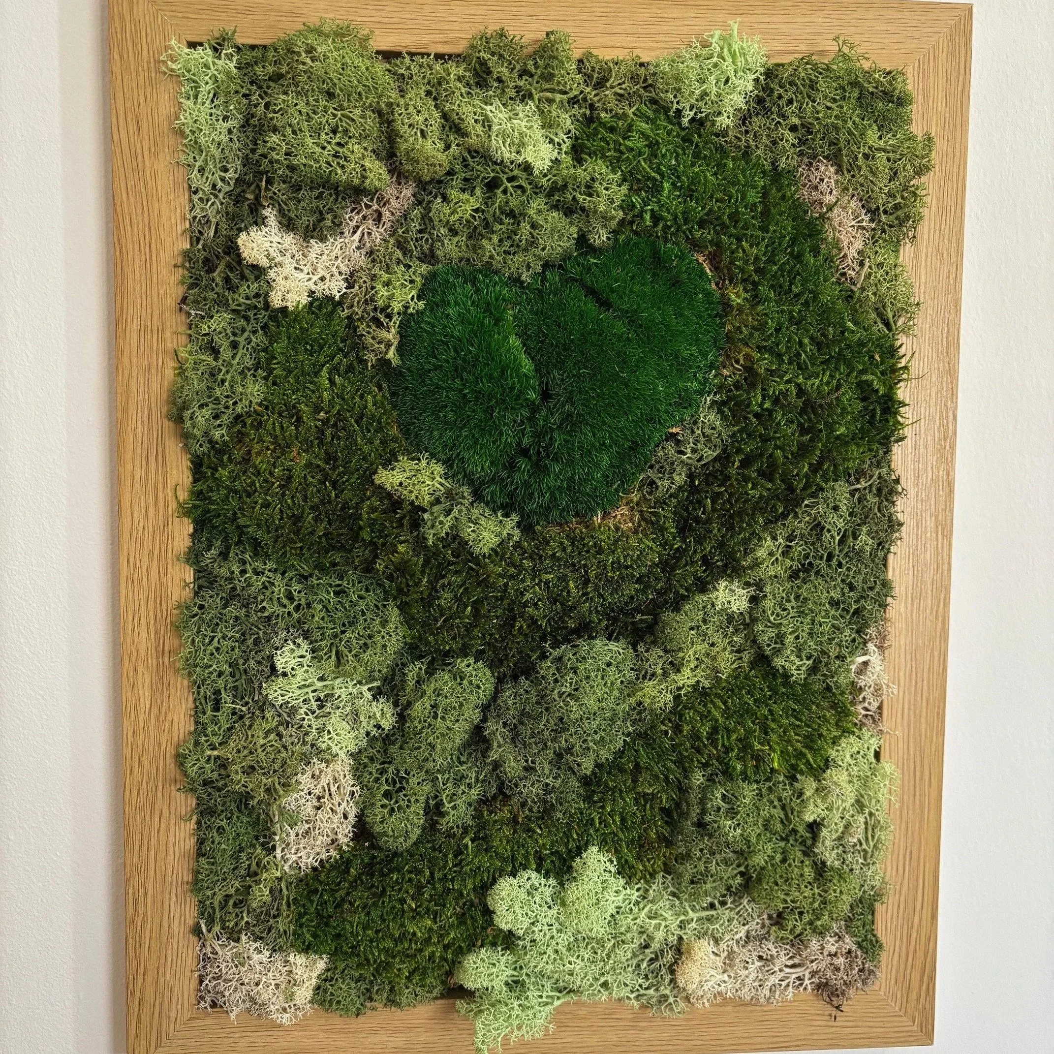 moss+harmony+long.jpg