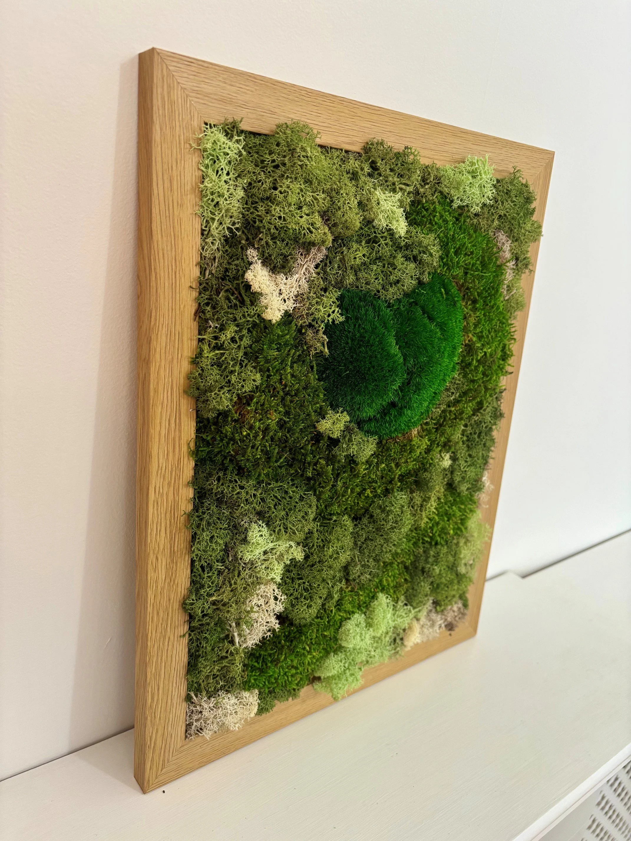 moss 5.jpg