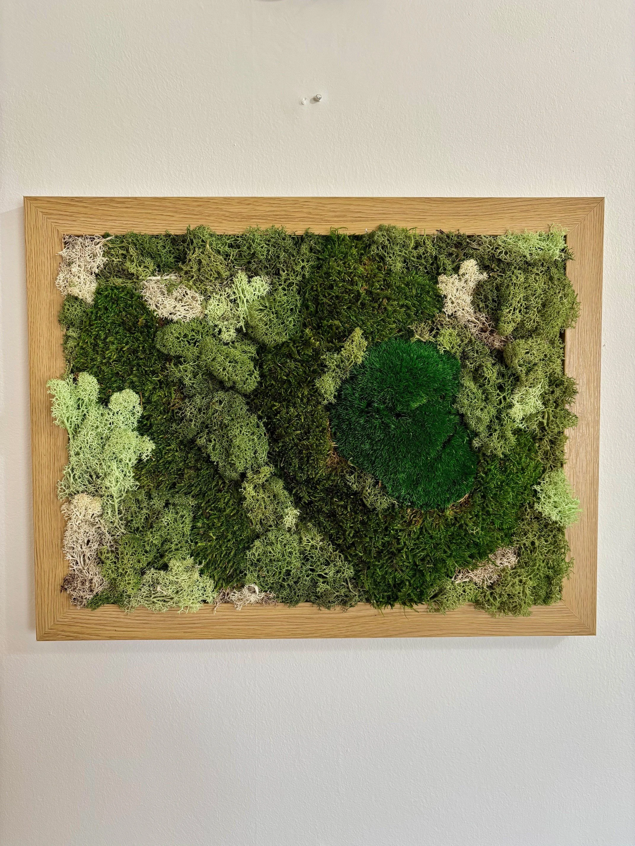 moss harmony front.jpg