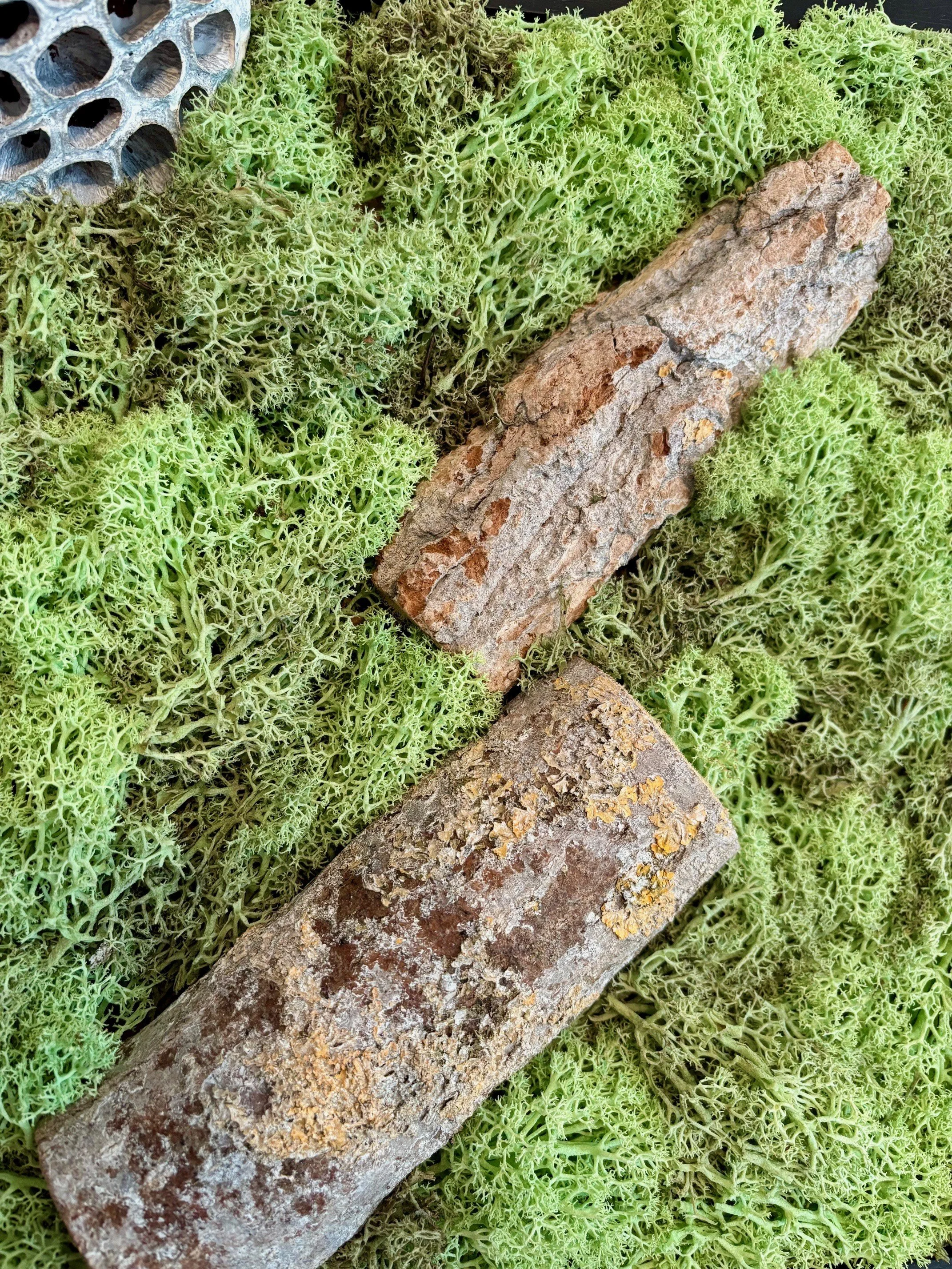whitewoods closeup.jpg