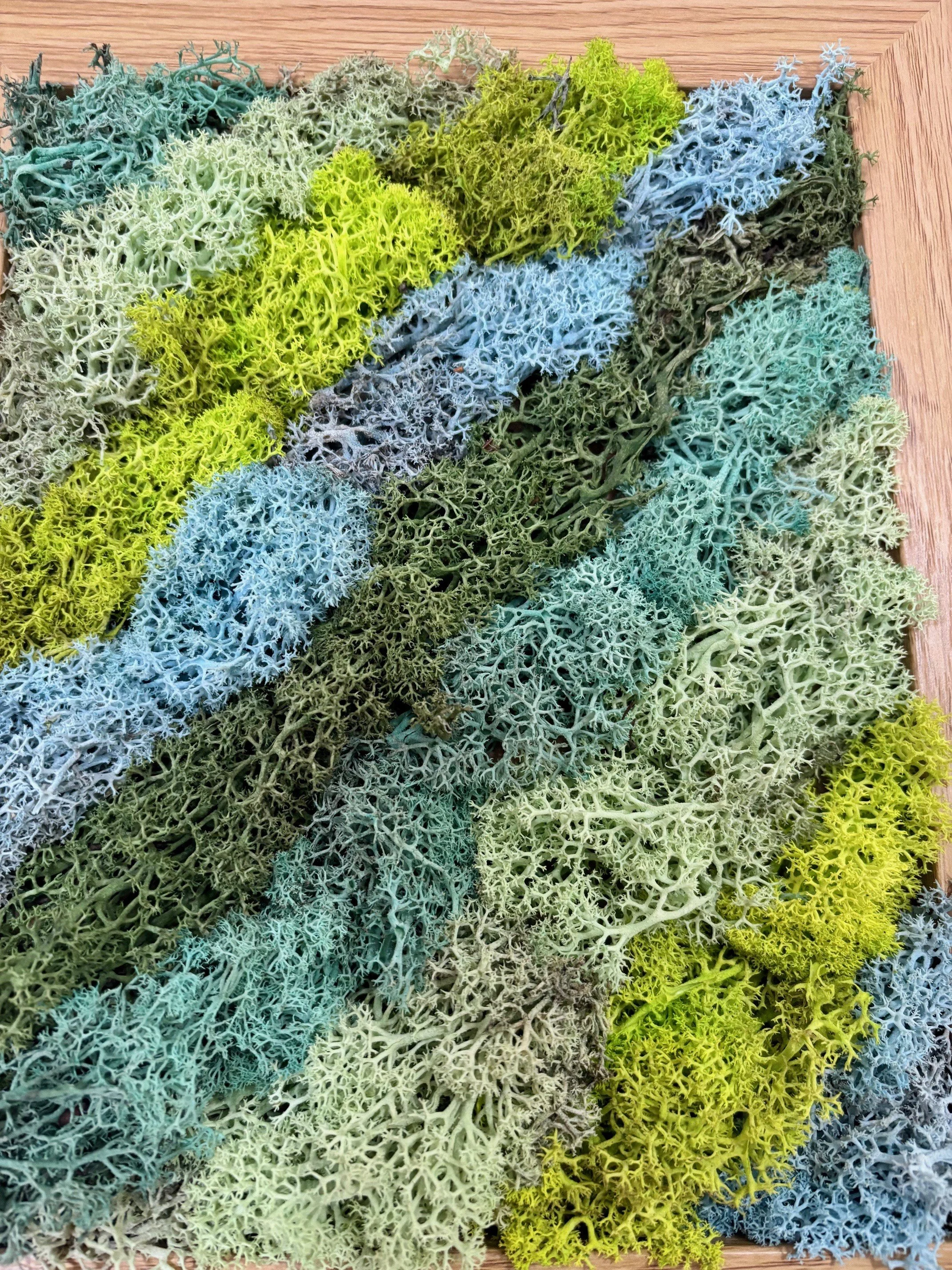 natures tap closeup.jpg