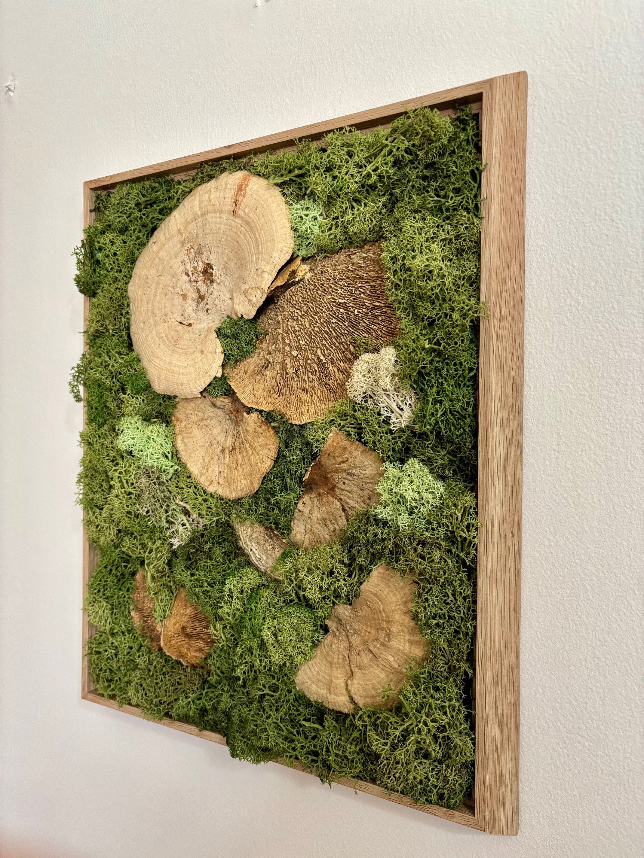 mushroom medley right may.jpg