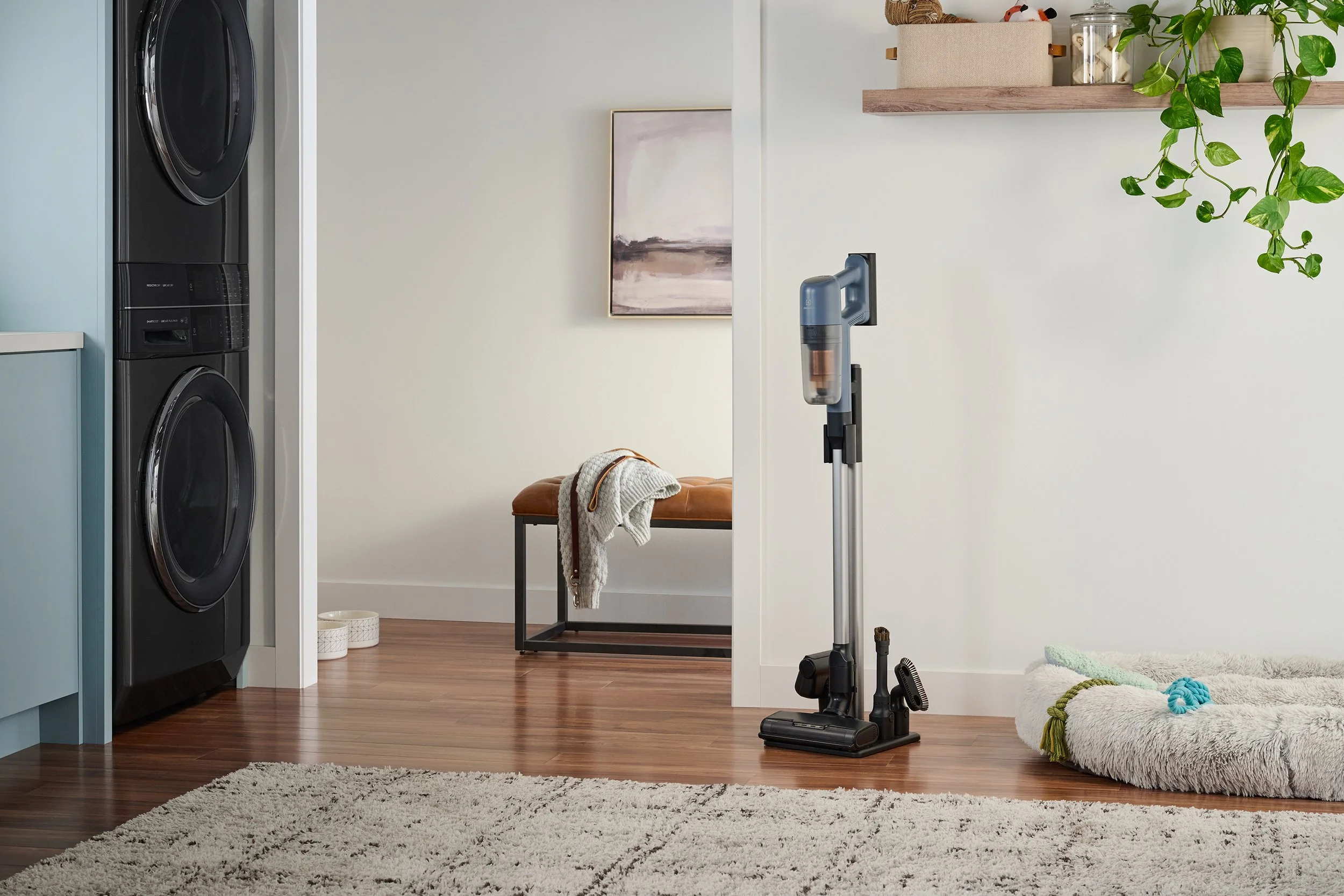 Living room with laundry area, featuring a stacked washer and dryer, a Dyson vacuum cleaner, a cozy rug, a plush pet bed with blankets, a framed abstract landscape painting, a wooden shelf with decorative jars, and some greenery hanging from the wall