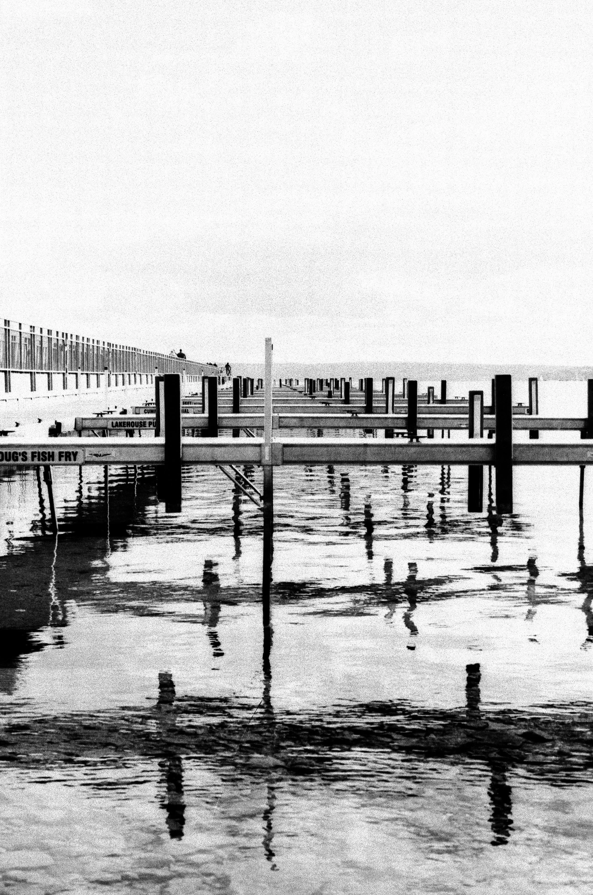 developed with plants at Skaneateles Lake, NY 2025