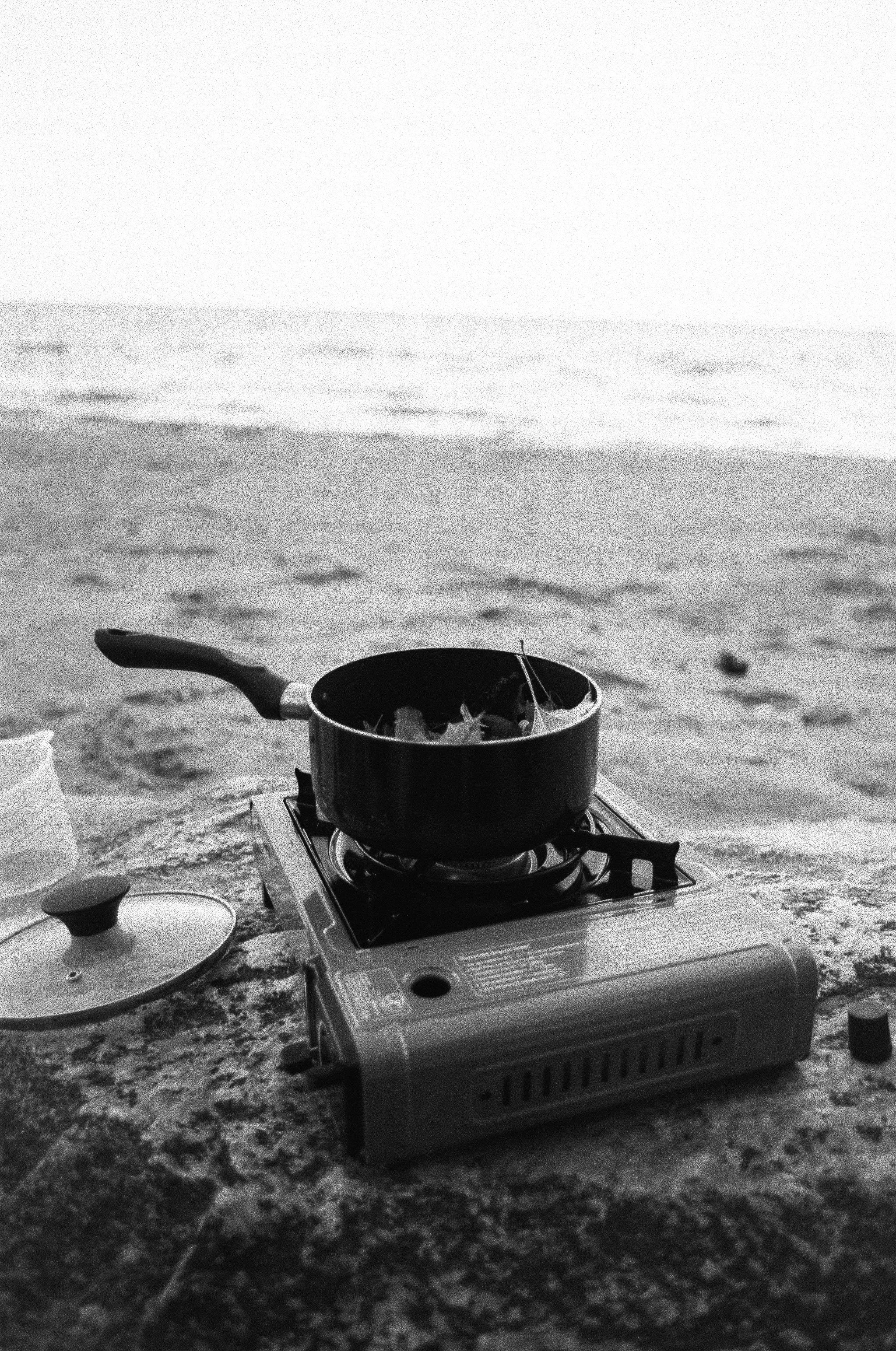 developed with plants from Lake Ontario