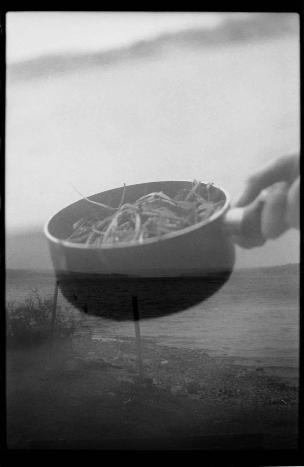 developed with seaweed from Conesus Lake
November 2025