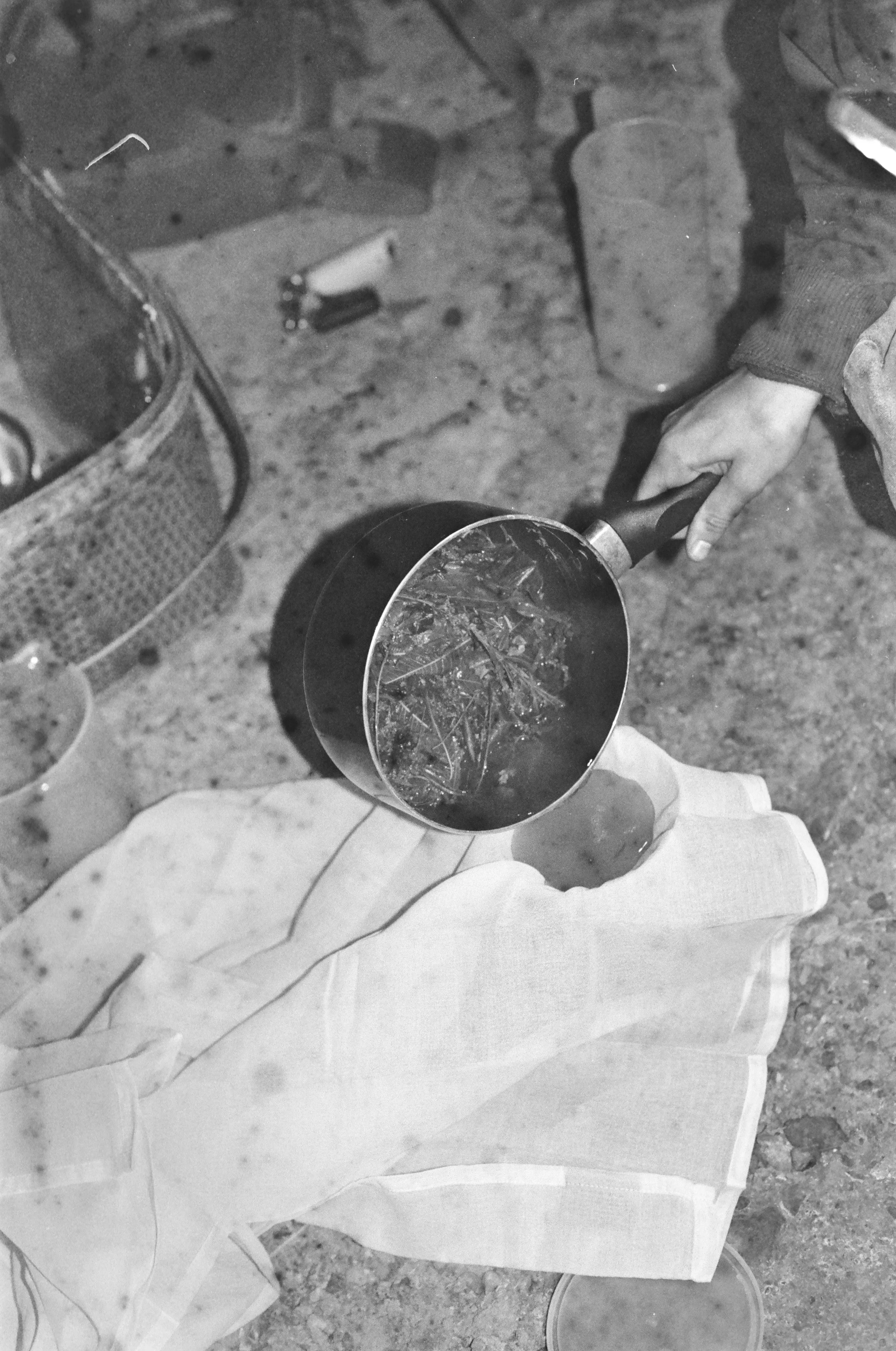 developed with plants and water from the Erie Canal, NY 2025