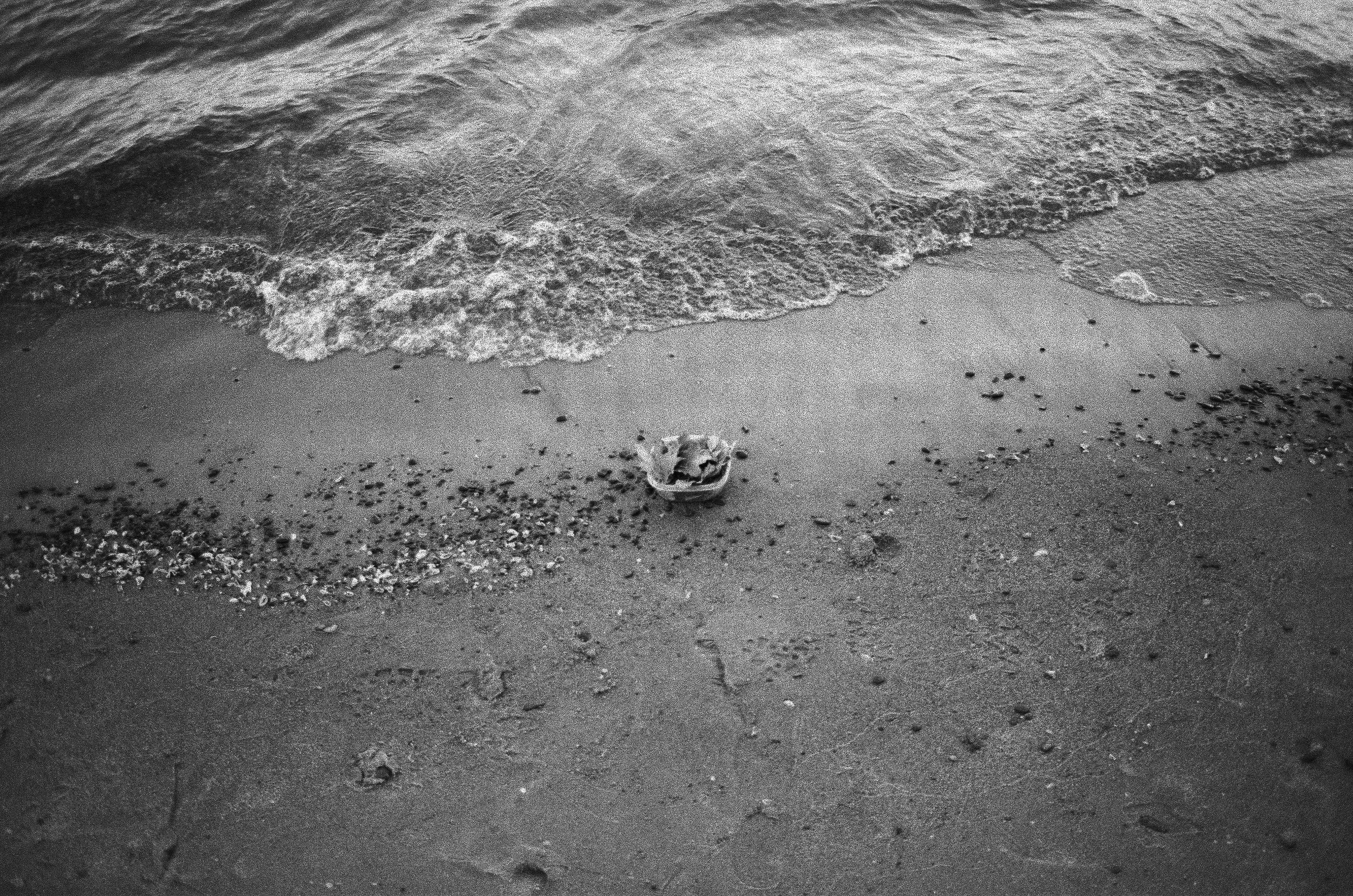 developed with plants at Lake Ontario 2025