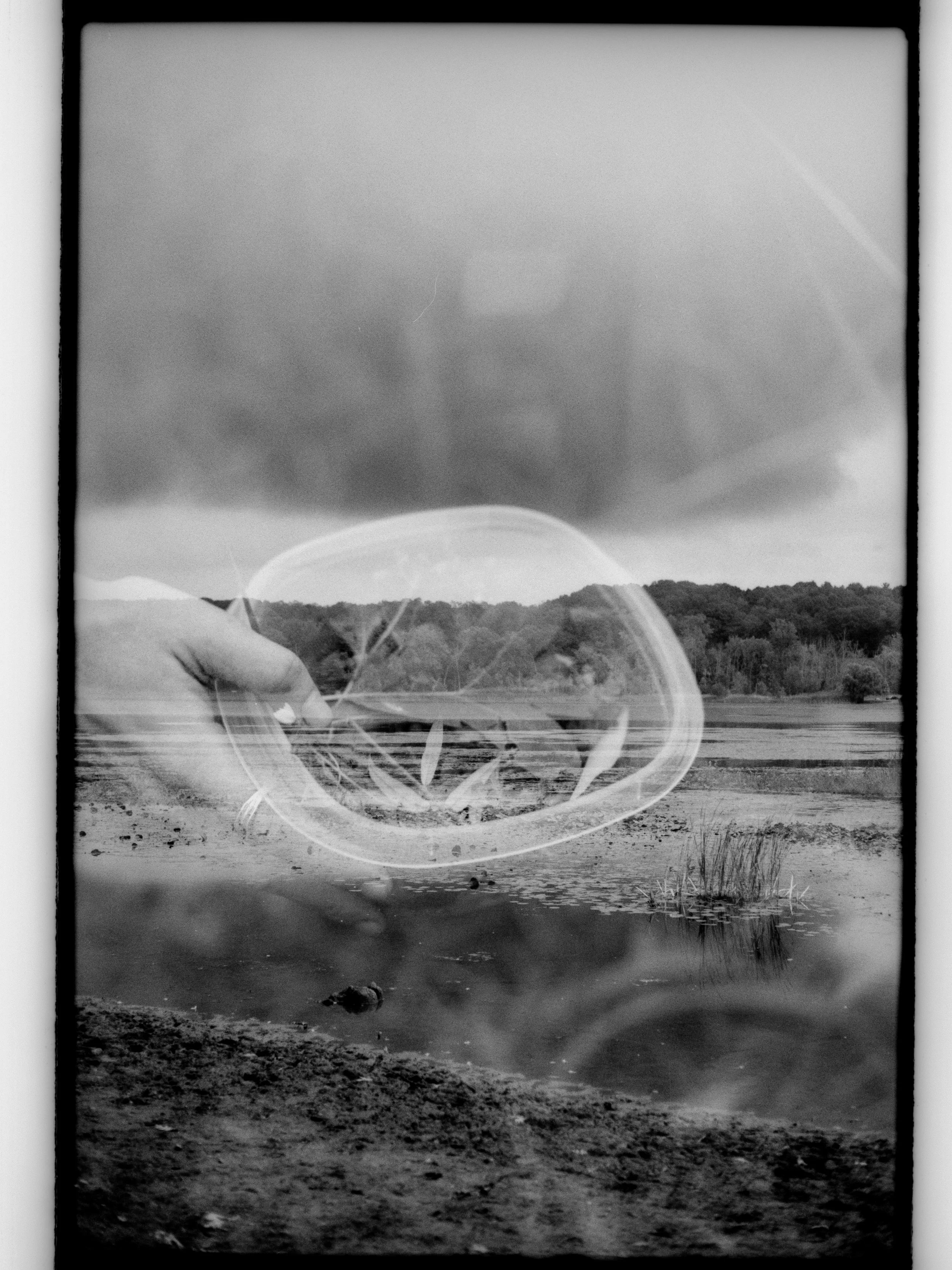 developed with plants and water from Mendon Ponds Park, NY 2025