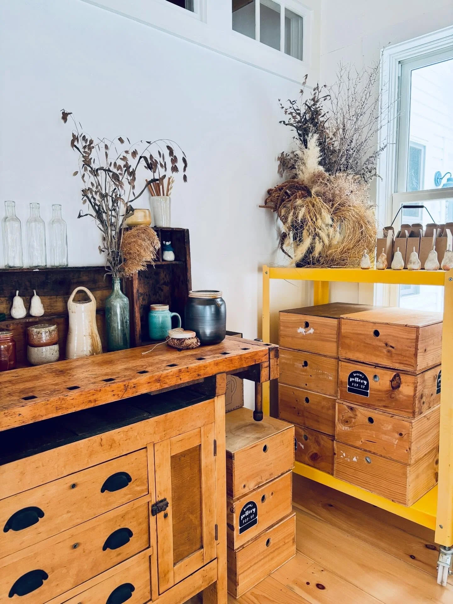 My new year, thus far, in photos&hellip;settling back into my studio after taking down my pop-up store 🤍, caring for sweet dogs 💛🐾 , road tripping to Quebec City with Brad to celebrate four years together ✨, plus a big kitchen renovation 💪🏼, and