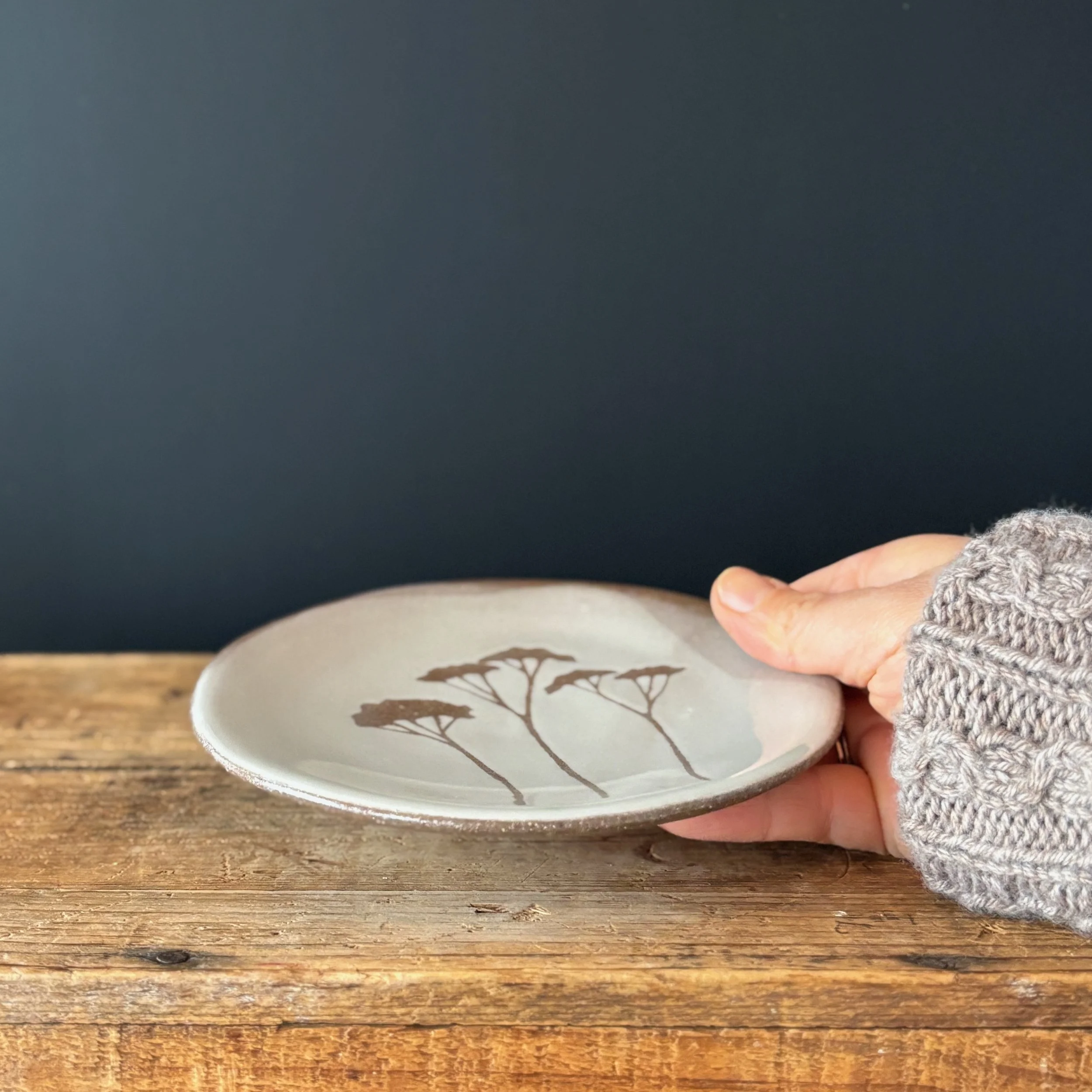 SmallPlate3 - 2.jpeg