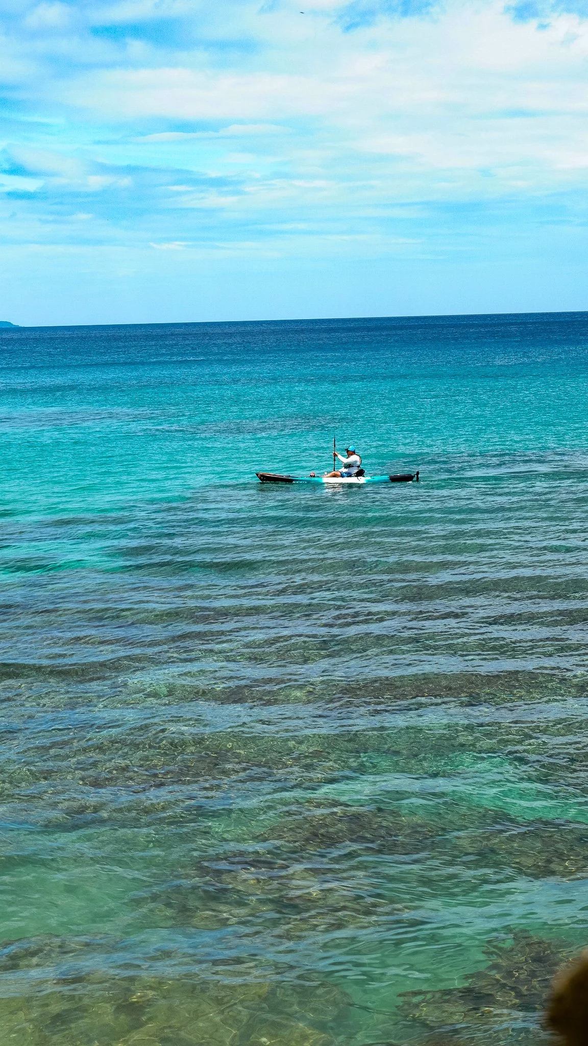 DSC03700.jpg