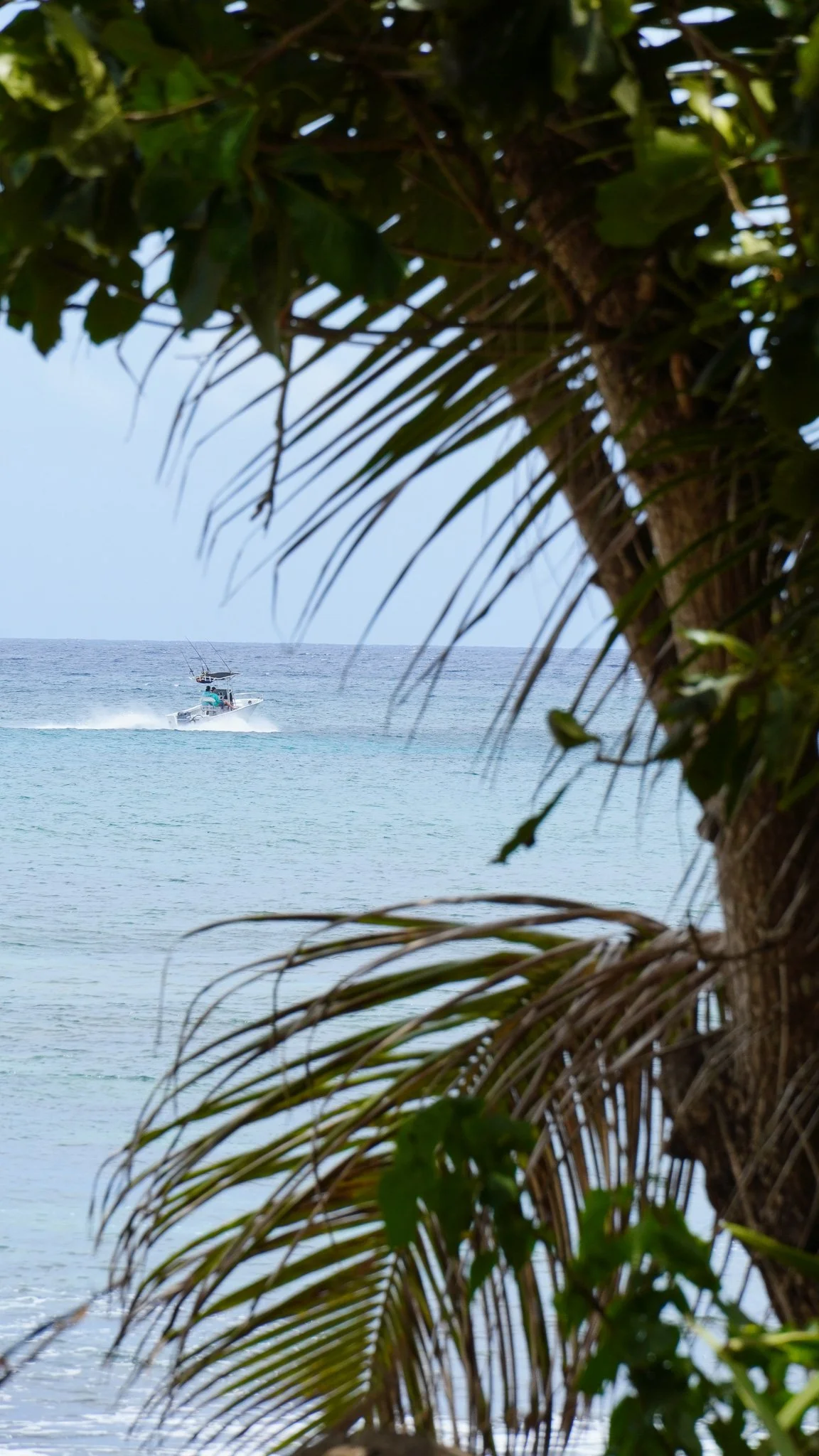 DSC04072.jpg