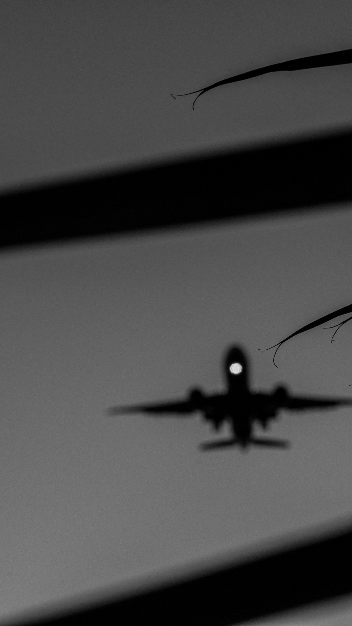 DSC09242.jpg