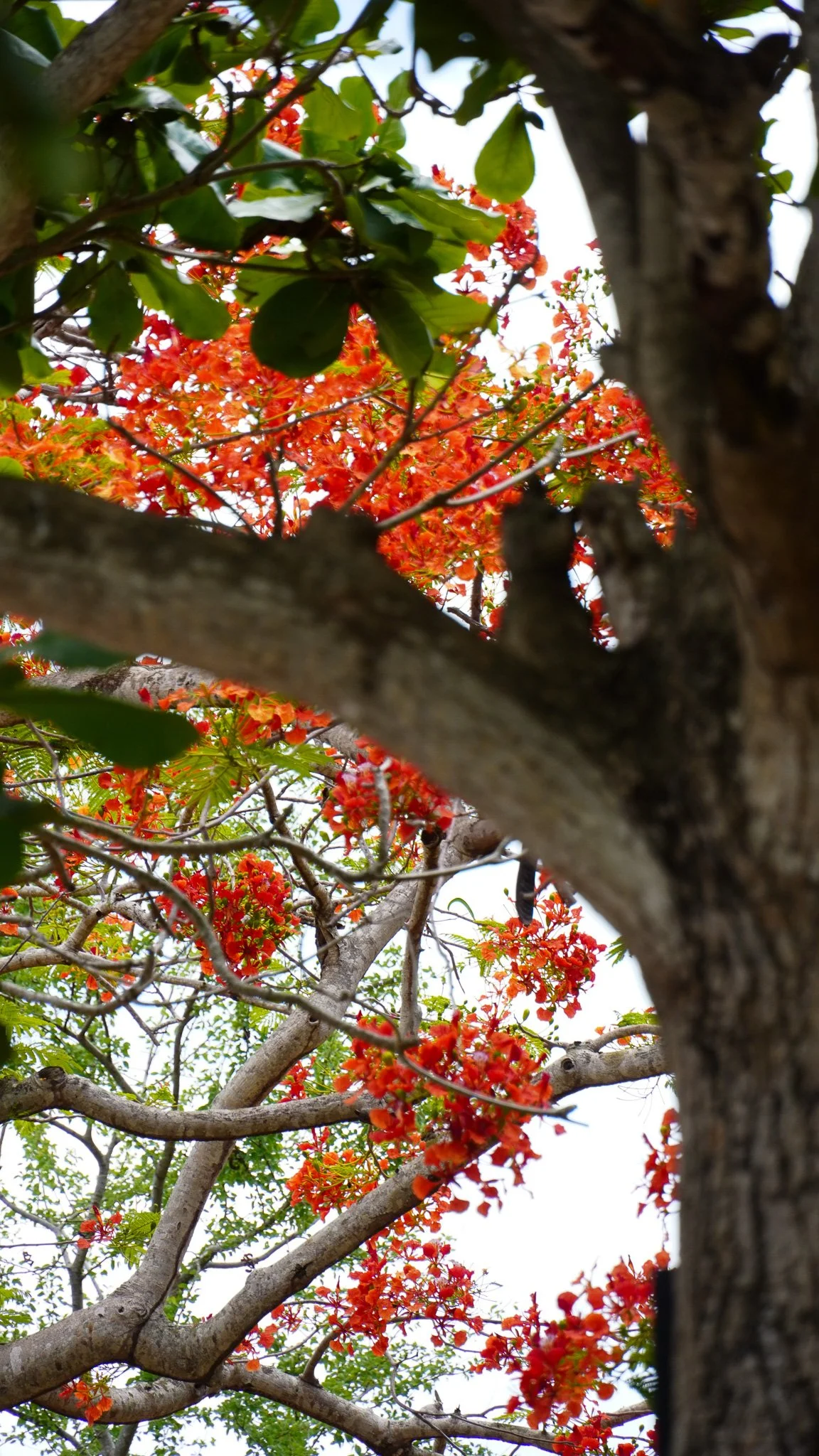 DSC03900.jpg