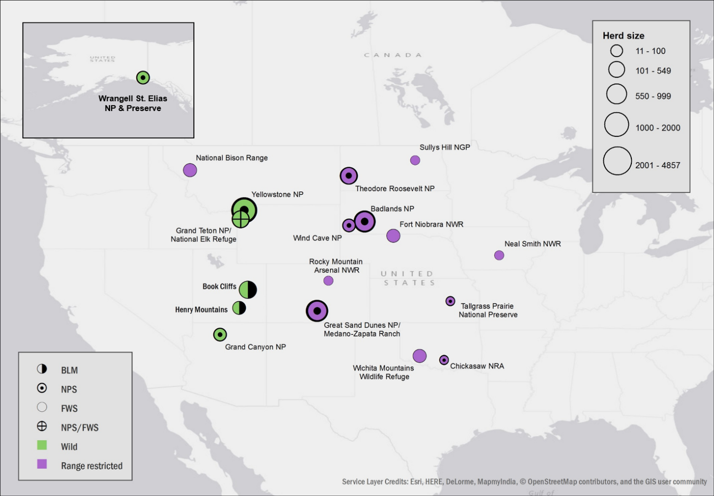 Bison Bellows: Department of the Interior Bison Conservation Initiative