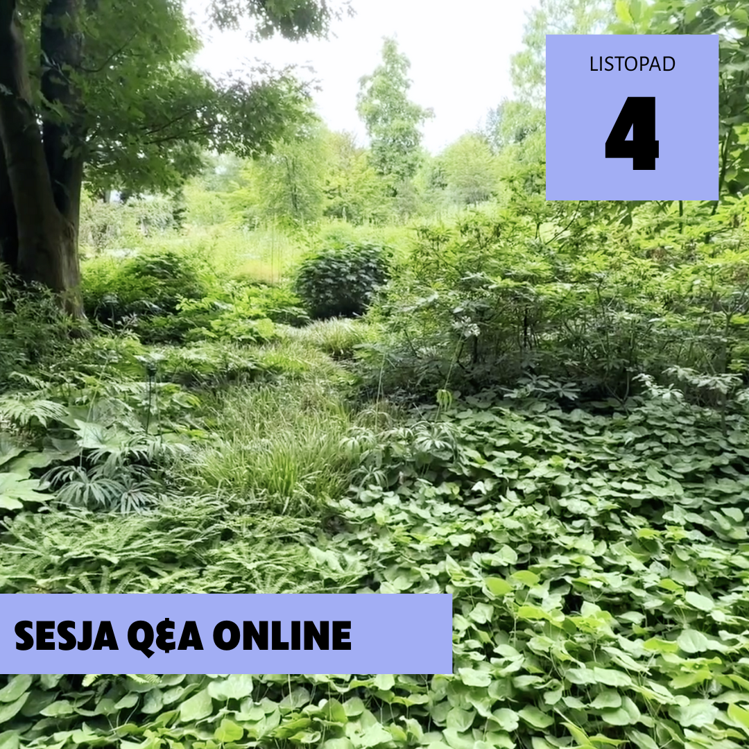 Zrozumieć cień. Q&amp;A z Noelem Kingsbury