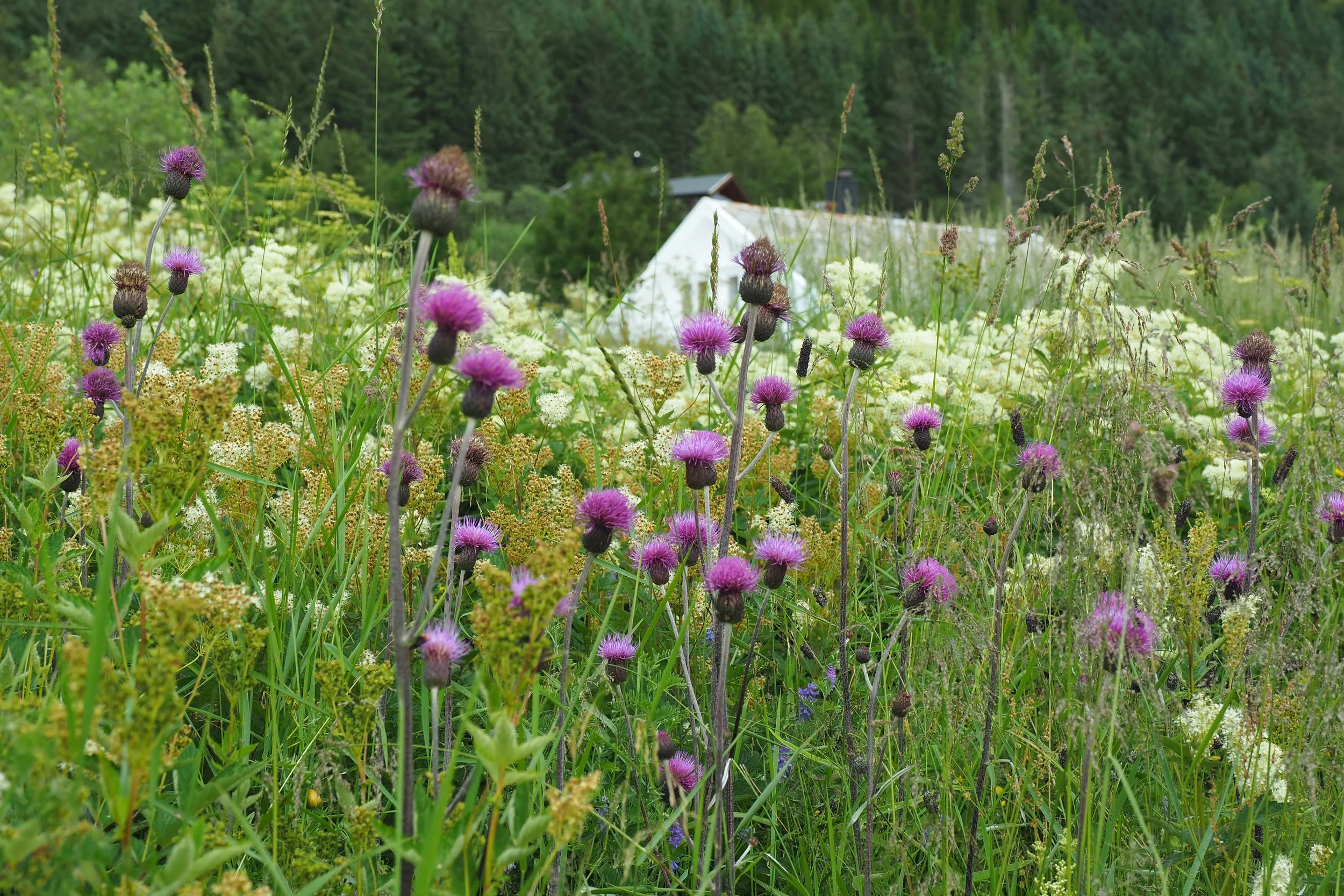 P1014544.JPG