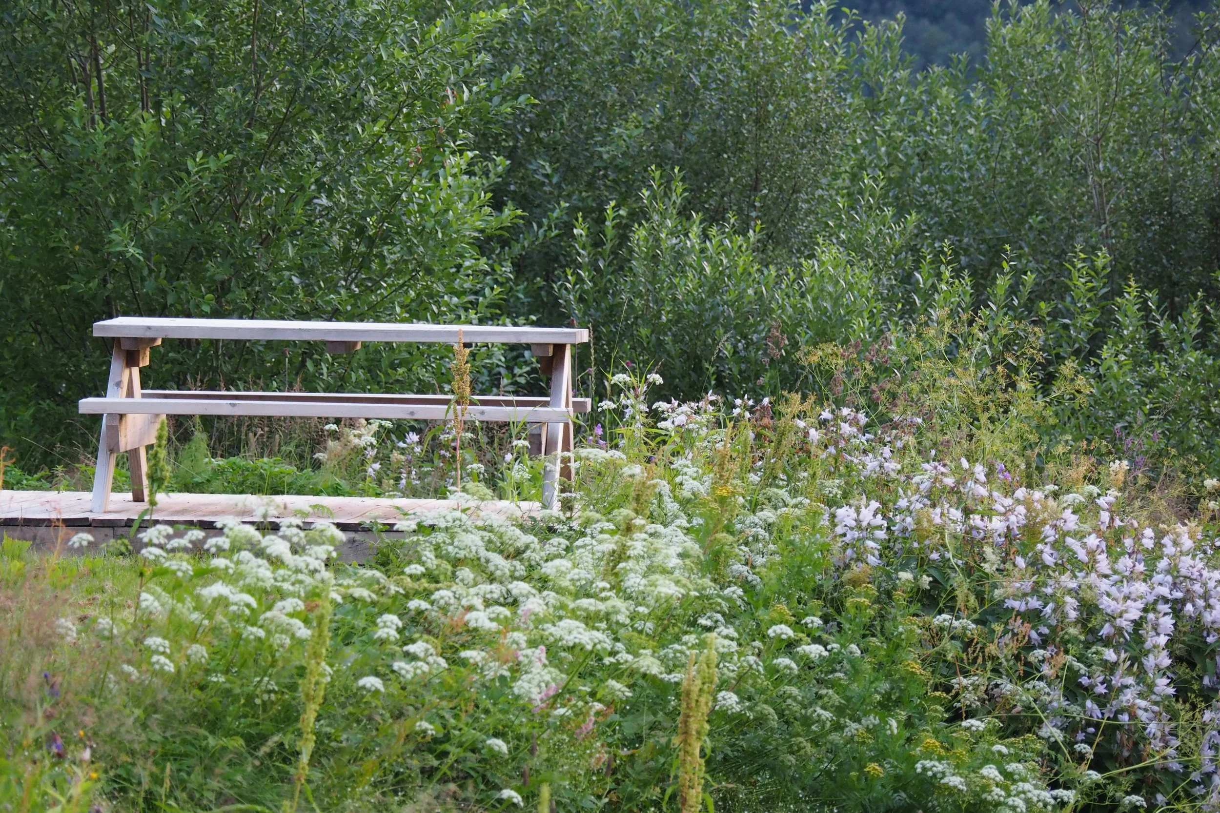 P1014686.JPG