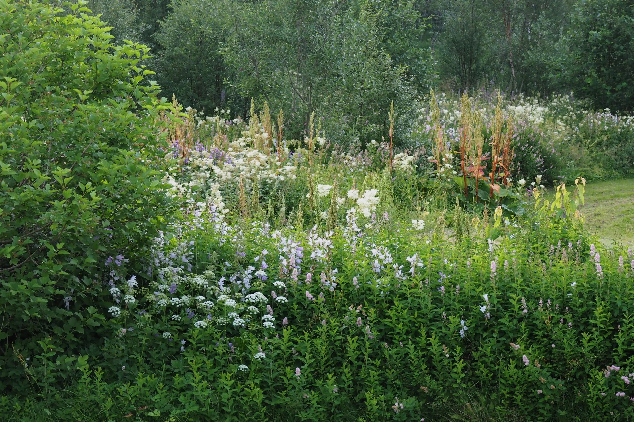 P1014659.jpg