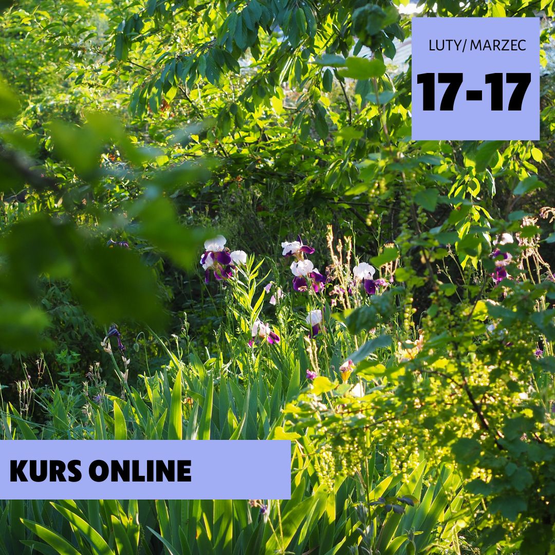 Siedliskowy dobór roślin. Małgorzata Piszczek