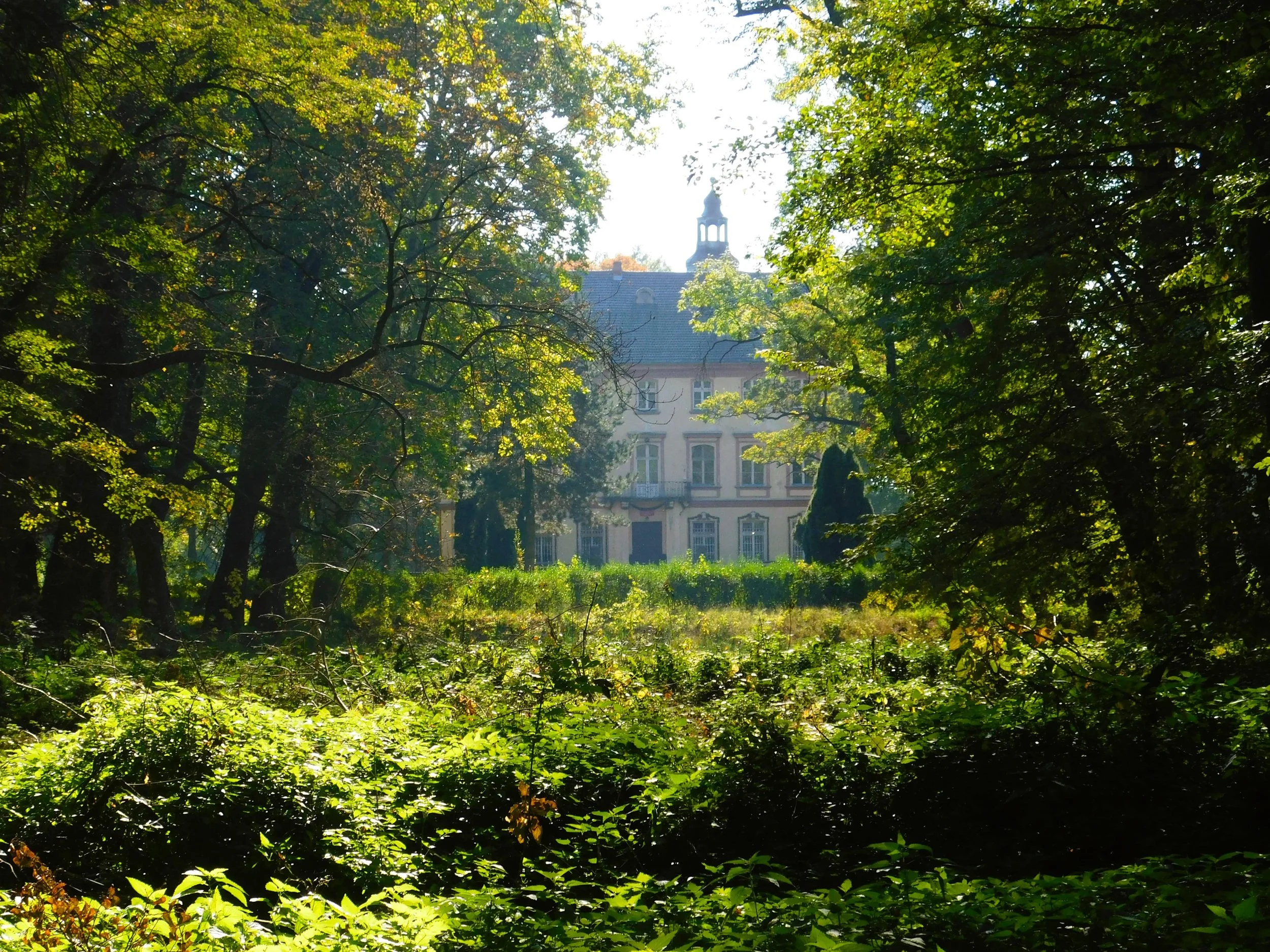 Spotkanie #1 Zrozumieć ogród historyczny-min.JPG