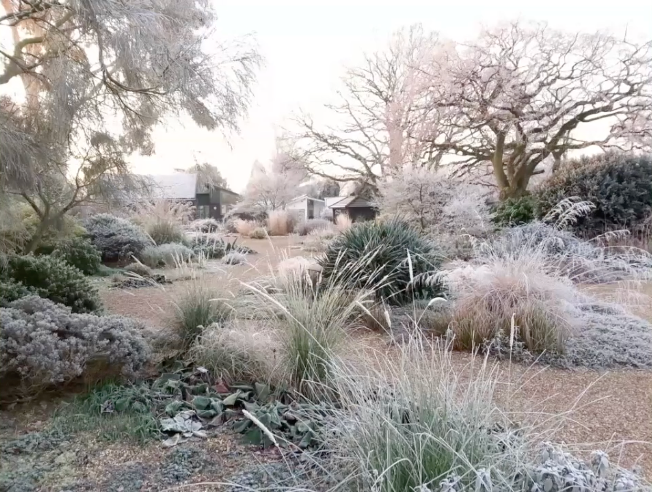 Zrzut ekranu 2026-02-3 o 19.51.58.png