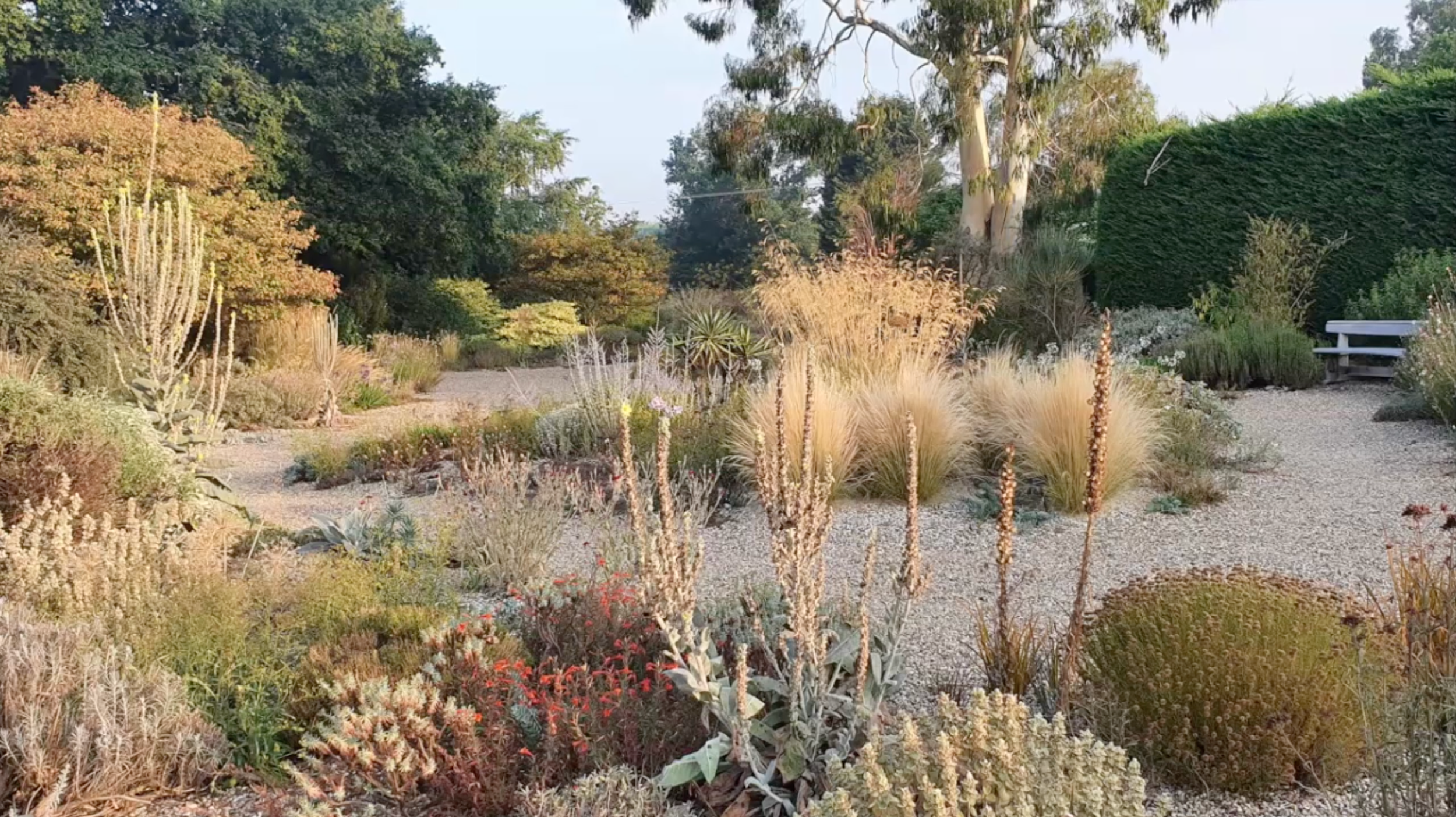 Zrzut ekranu 2026-02-3 o 19.47.24.png