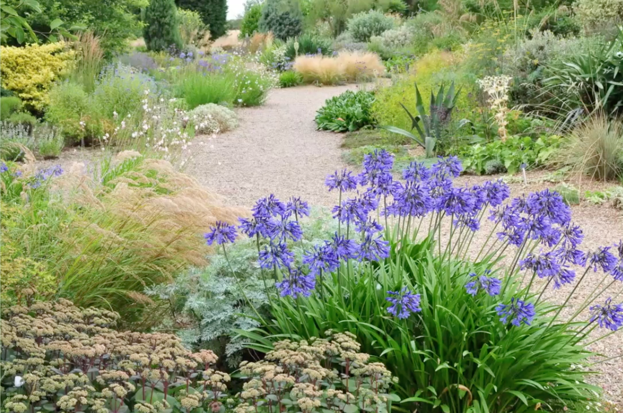 Zrzut ekranu 2026-02-3 o 19.47.54.png