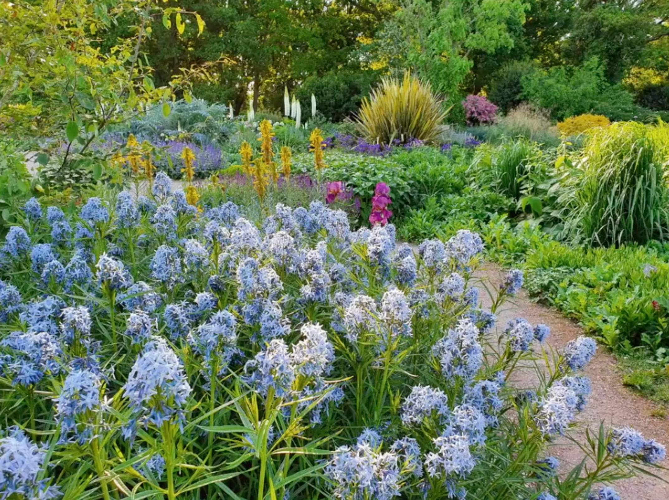 Zrzut ekranu 2026-02-4 o 10.24.41.png