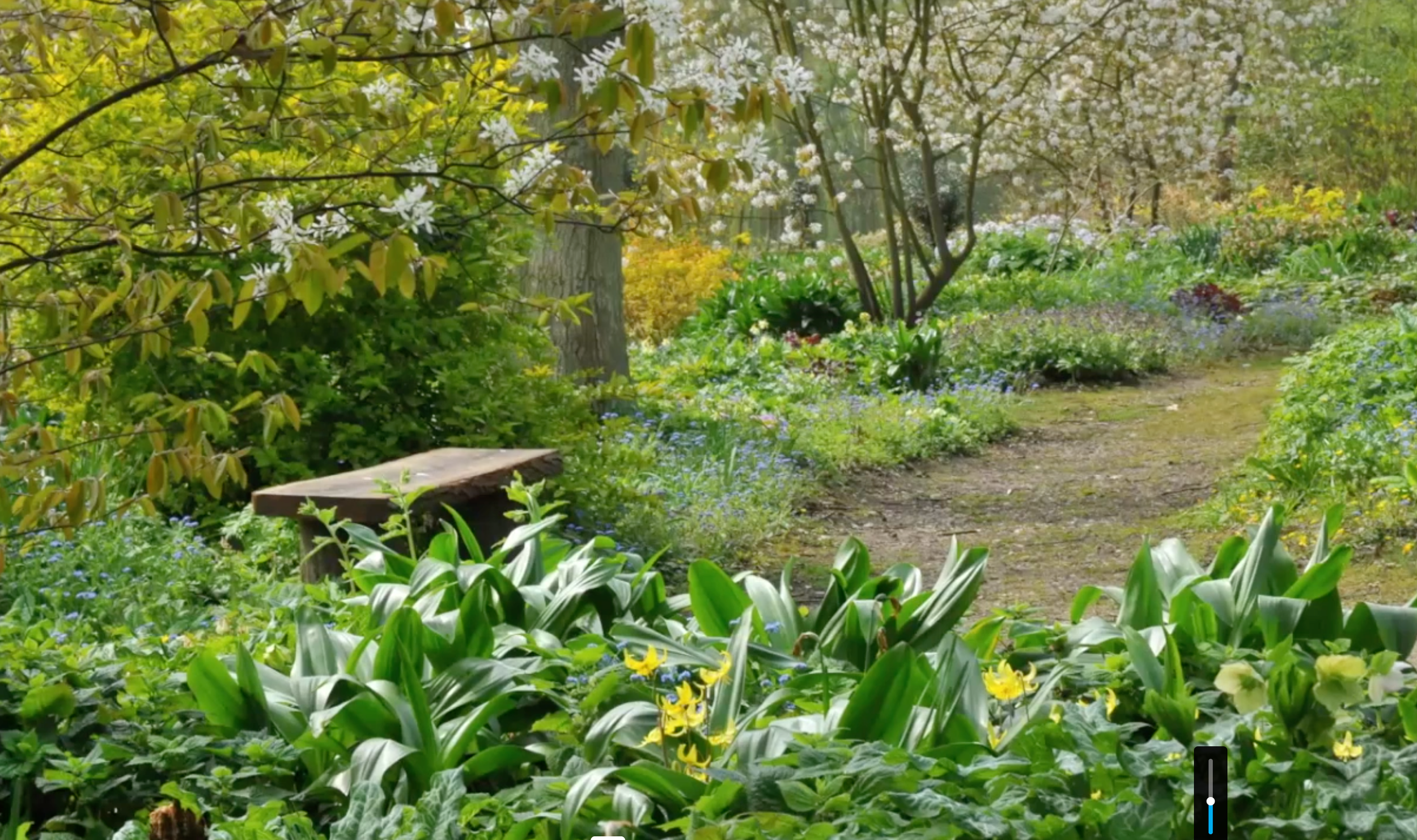 Zrzut ekranu 2026-02-4 o 10.26.16.png