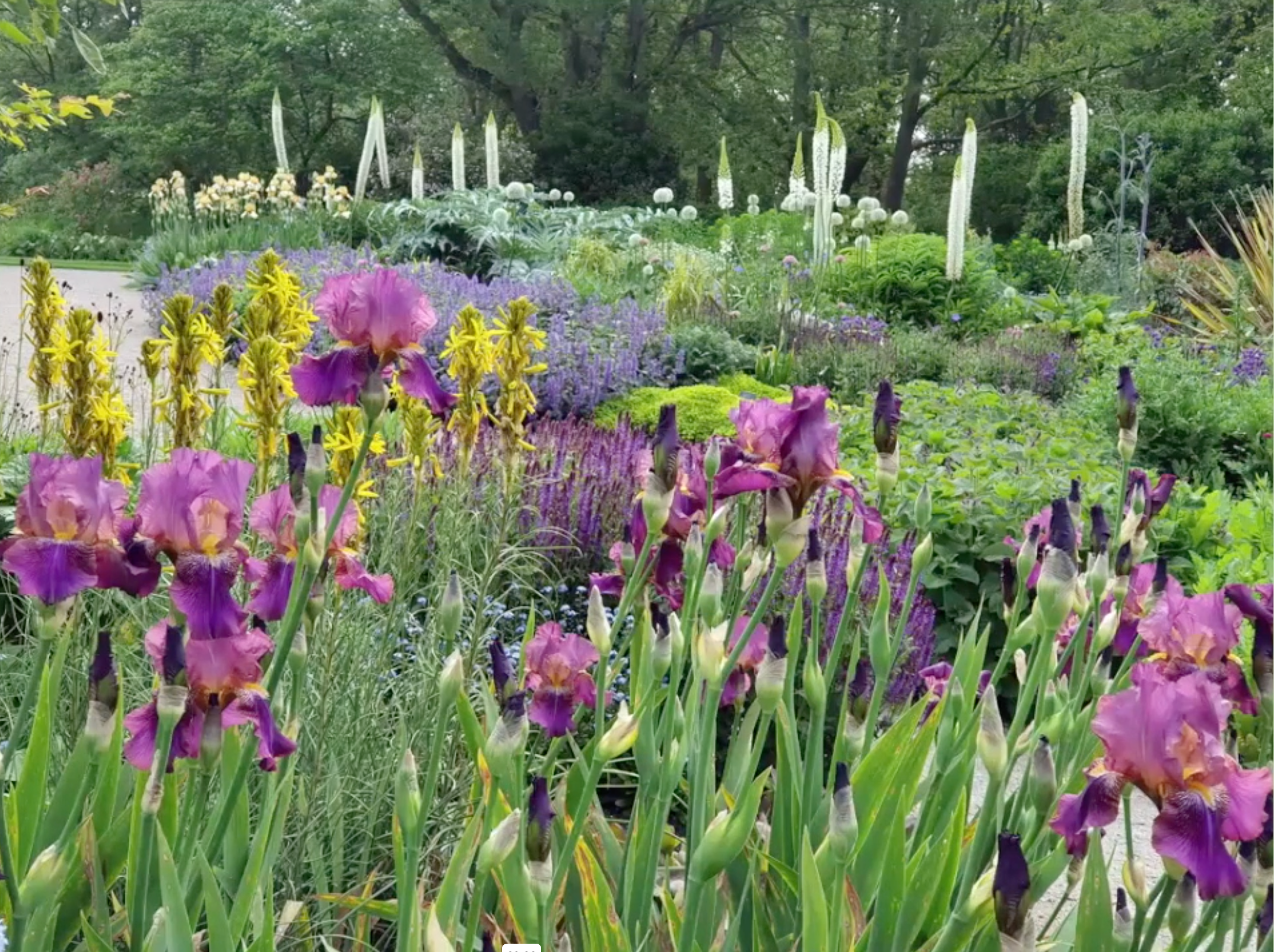 Zrzut ekranu 2026-02-4 o 10.24.10.png