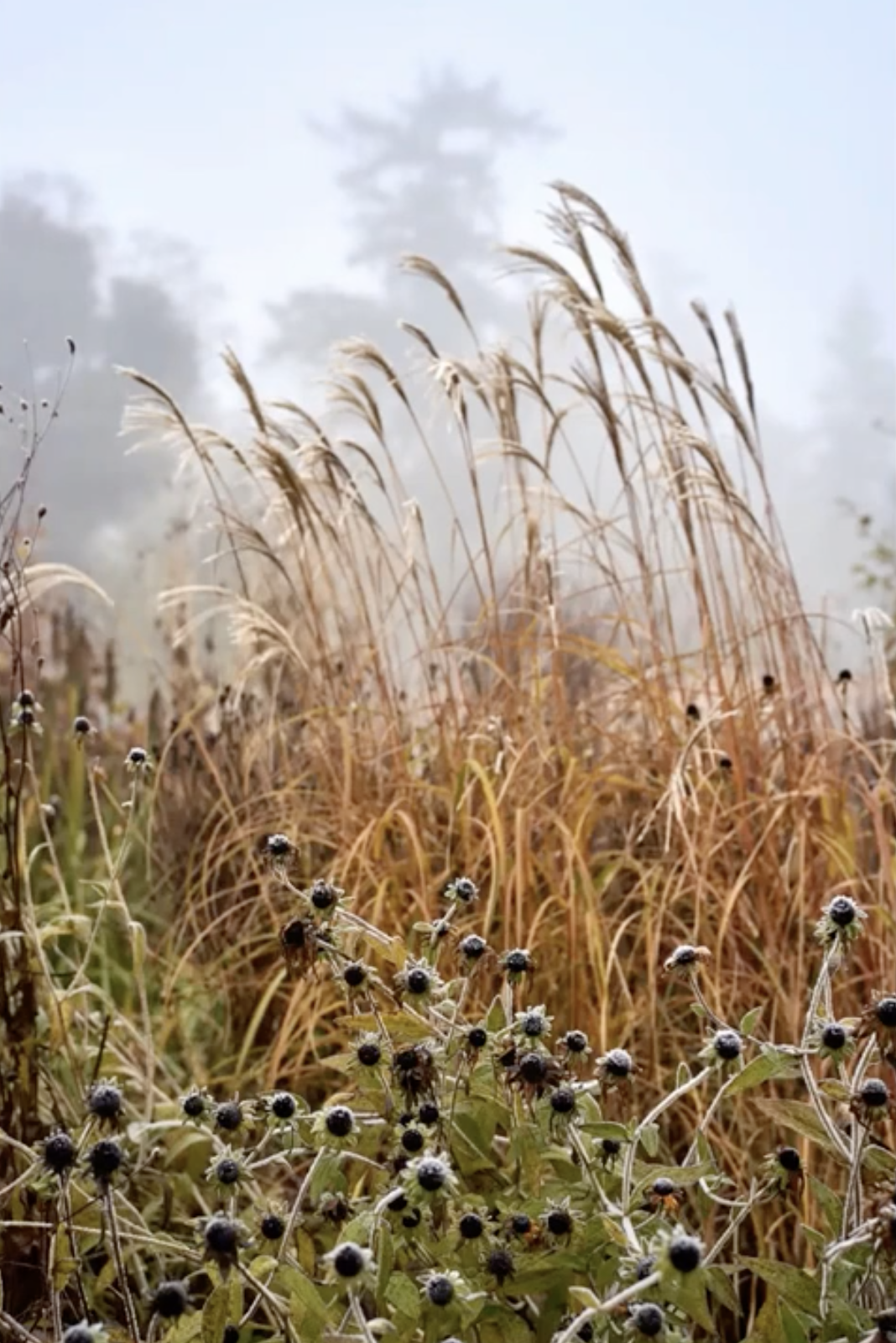 Zrzut ekranu 2026-02-5 o 13.03.36.png
