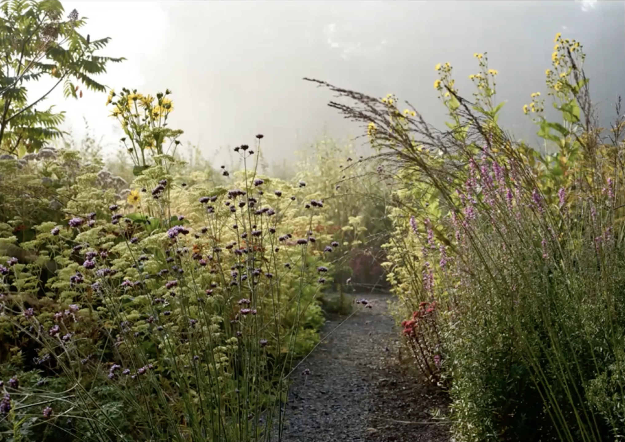 Zrzut ekranu 2026-02-5 o 12.53.58.png