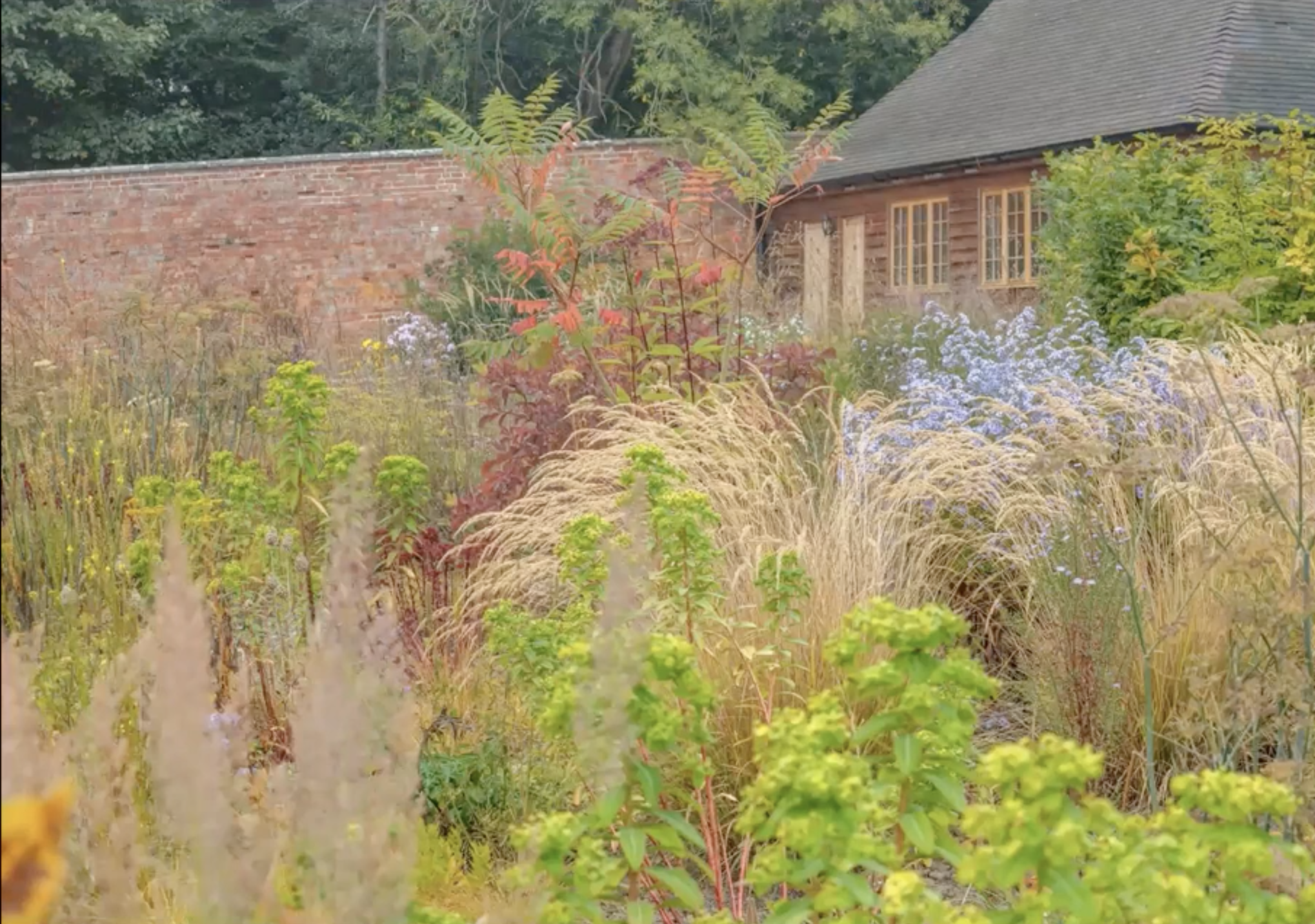 Zrzut ekranu 2026-02-5 o 12.53.05.png