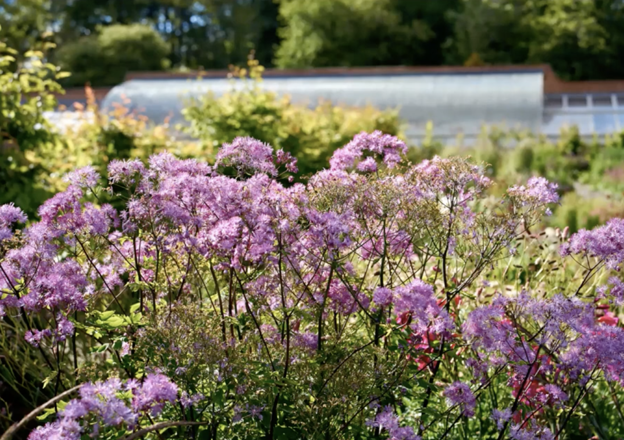 Zrzut ekranu 2026-02-5 o 12.25.12.png