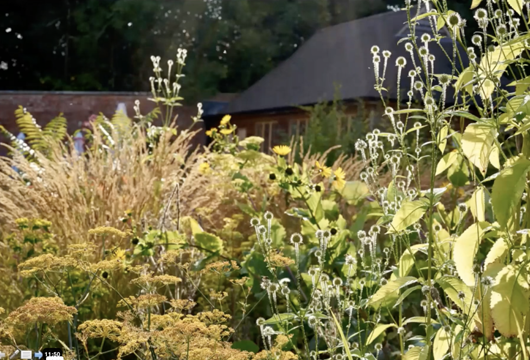 Zrzut ekranu 2026-02-5 o 12.05.45.png