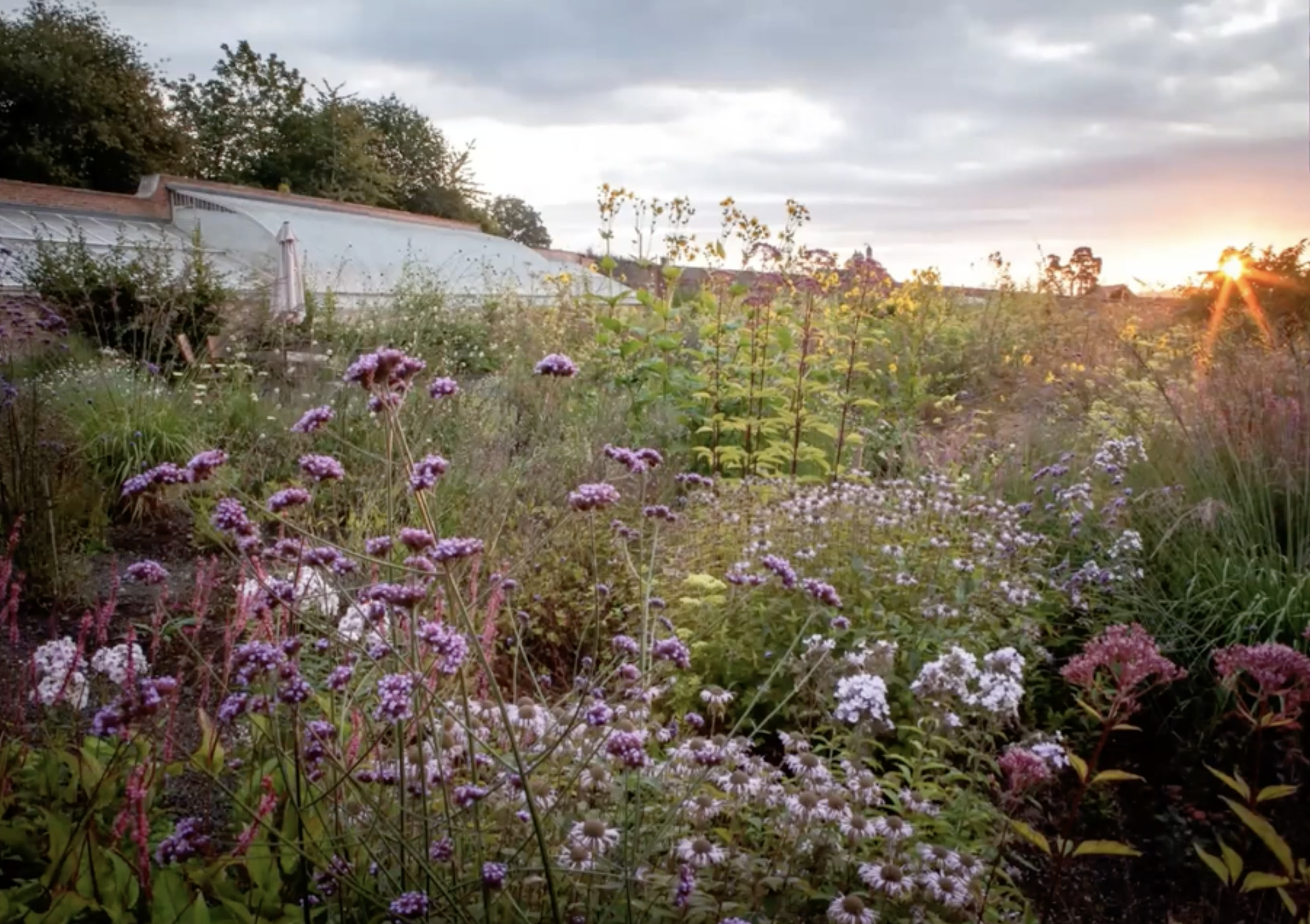 Zrzut ekranu 2026-02-5 o 11.19.56.png